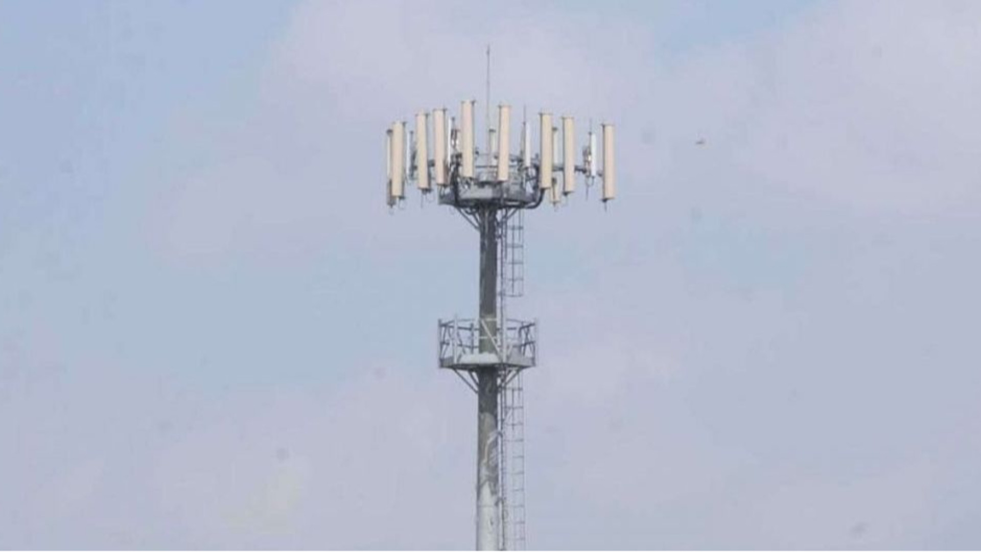 «Da mesi senza fibra, costretti a telefonare dall'argine del Po»