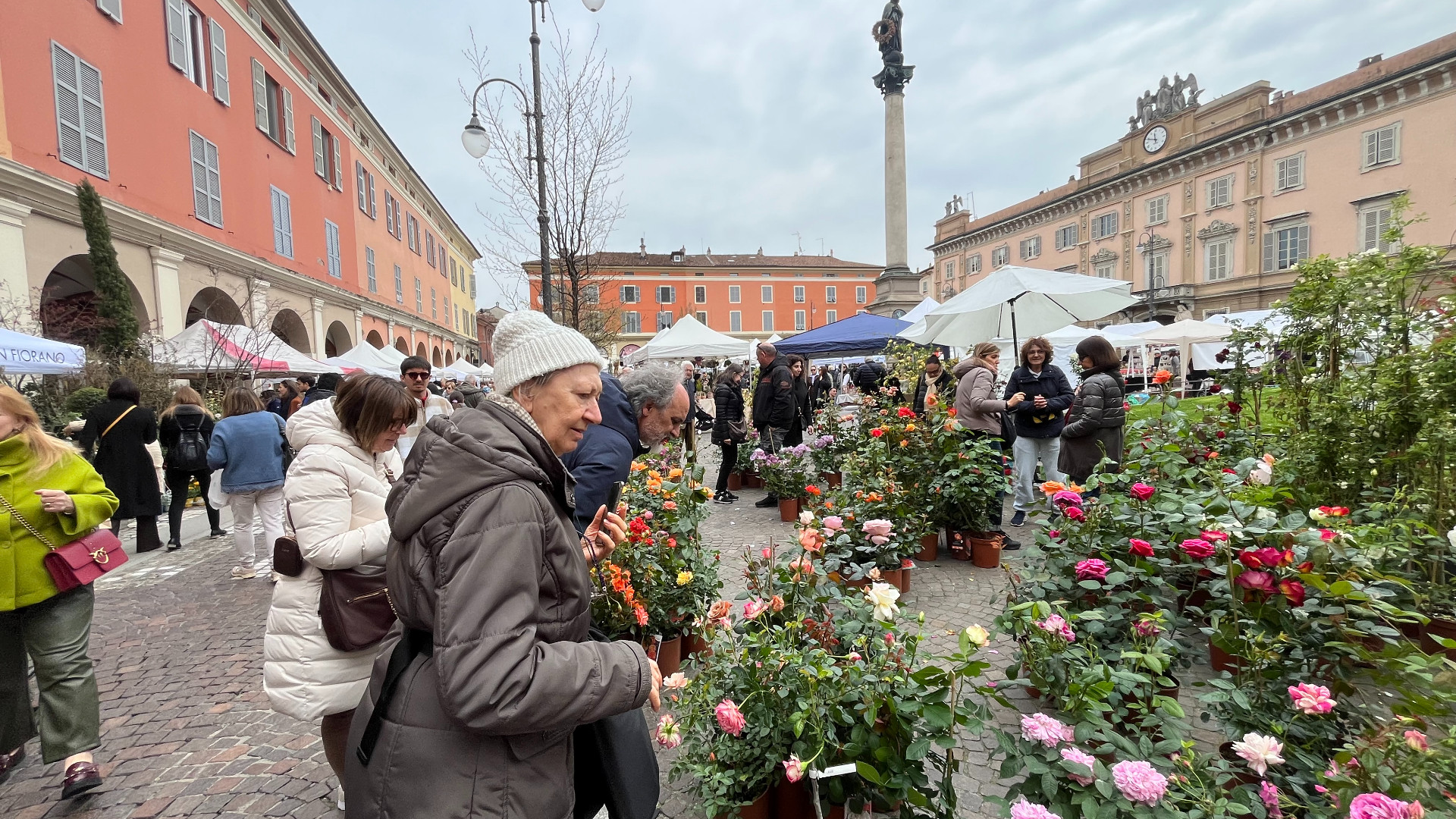 "Piacenza in fiore", la città si riempie tra profumi di primavera