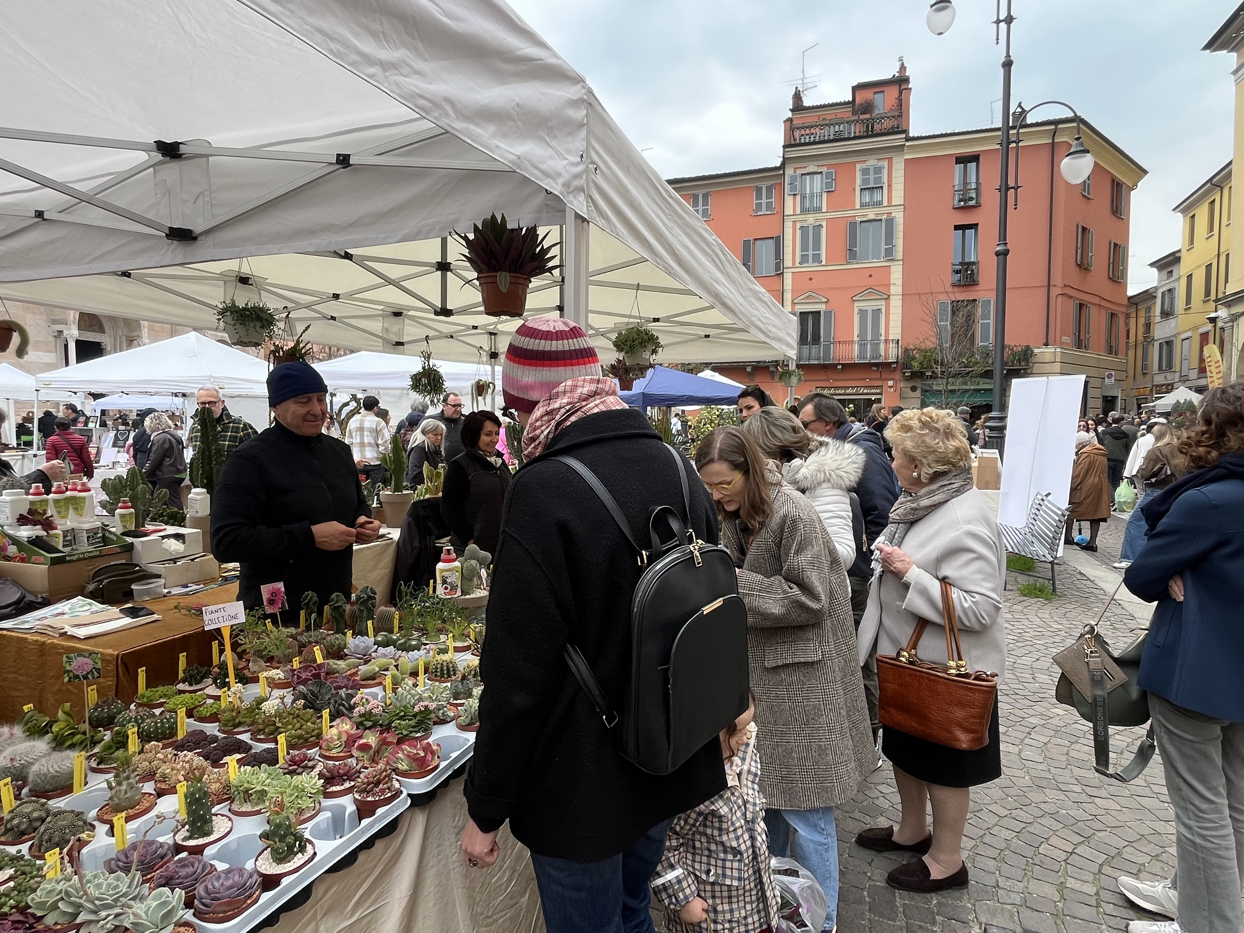 Piacenza in fiore fito