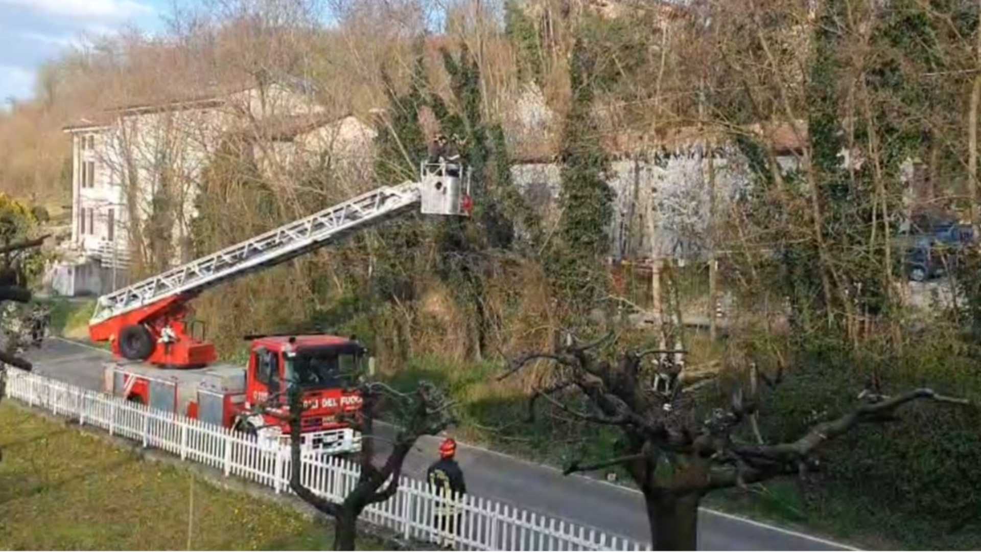 Albero pericolante sulla statale 45, intervengono i vigili del fuoco