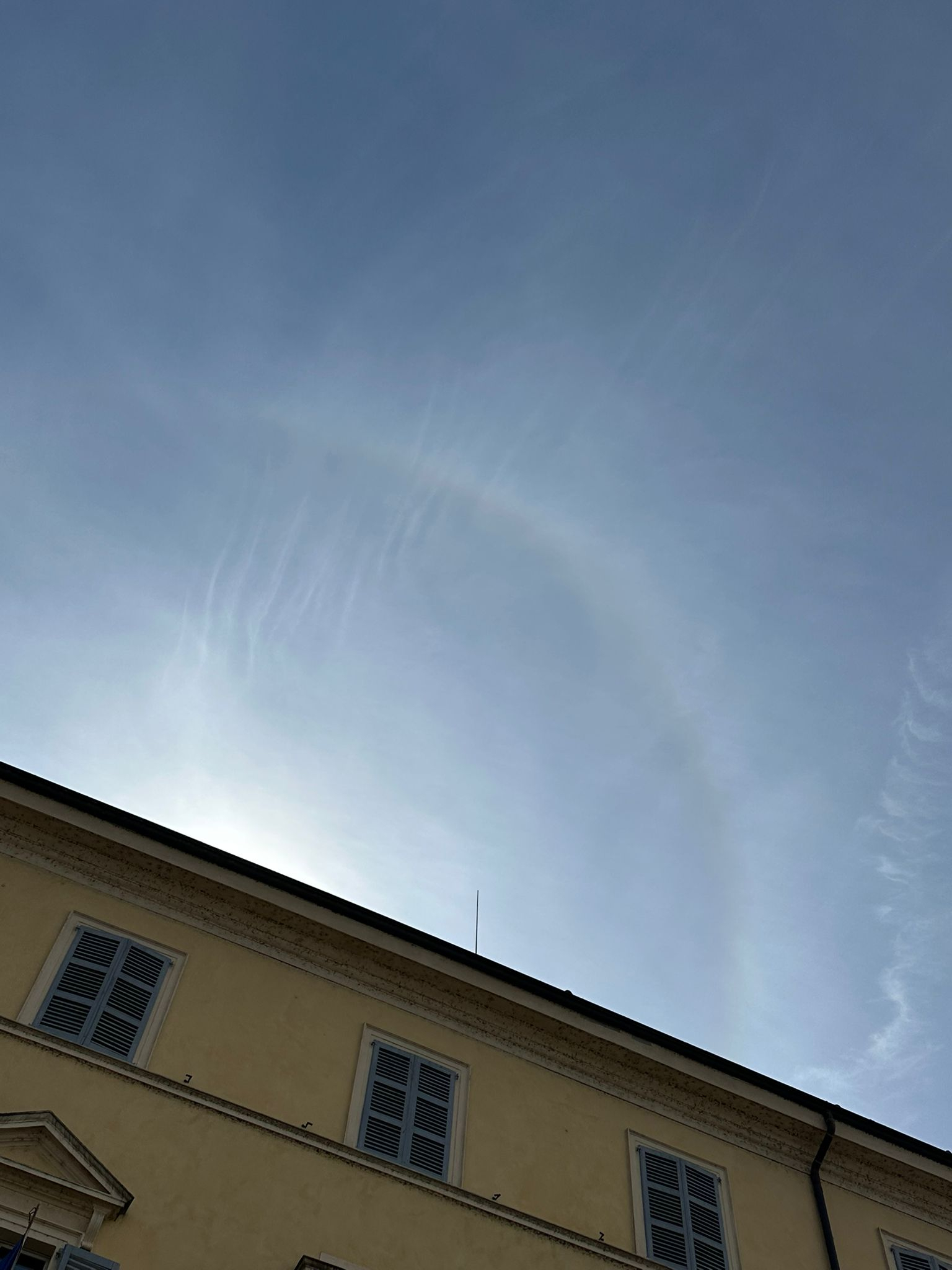 L'alone visto in mattinata a Calendasco