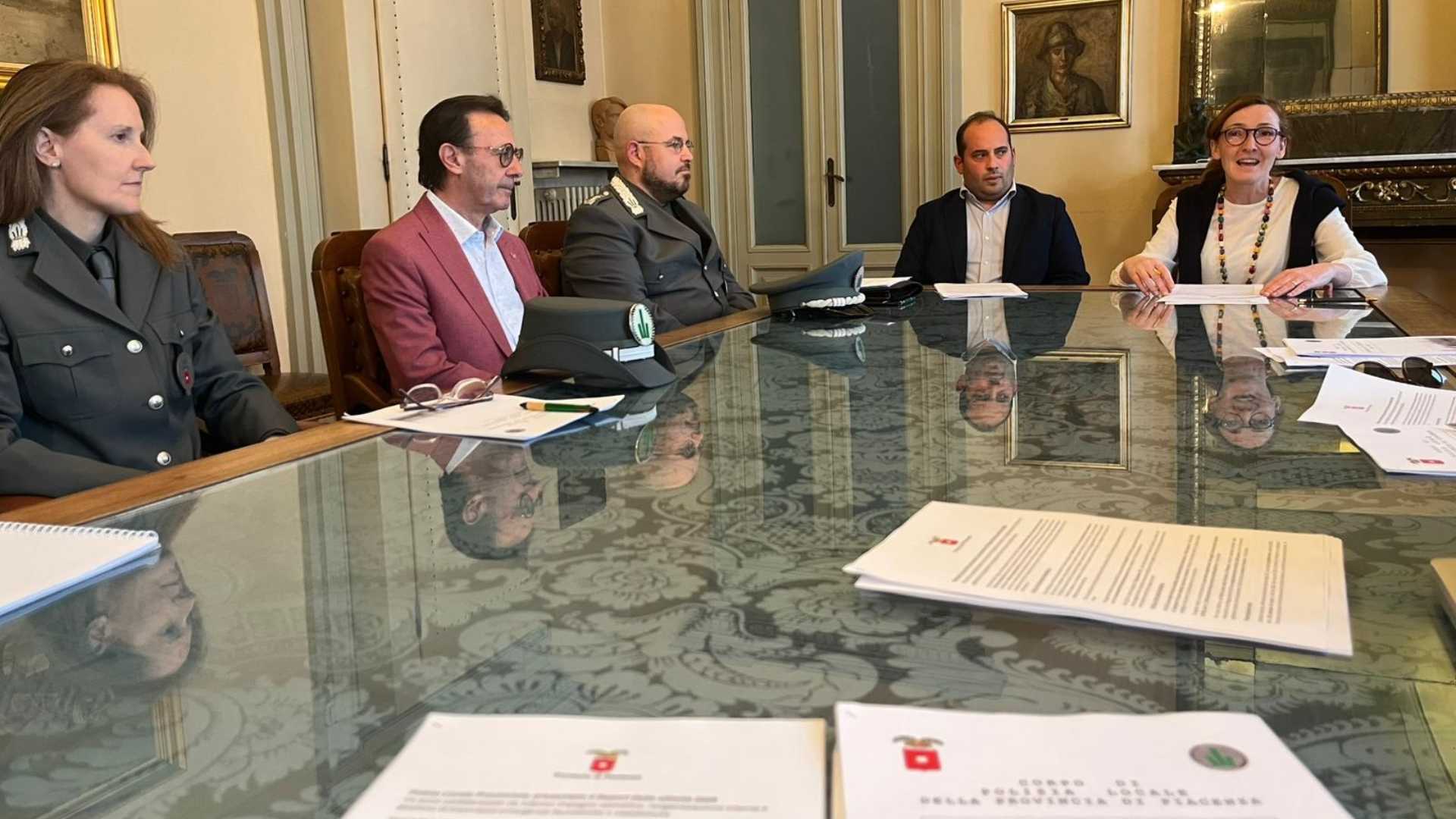 Peste suina e ponte di Castelvetro: 720 cinghiali abbattuti e 5mila multe