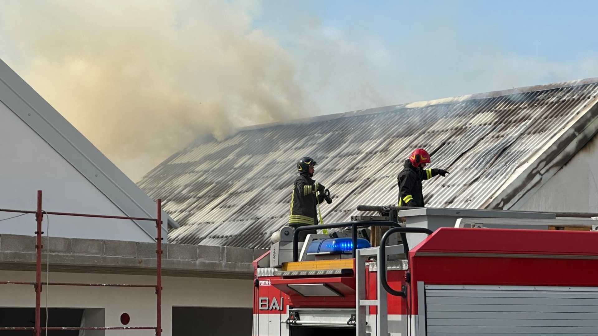 Vigili del fuoco- © Libertà/Pietro Zangrandi