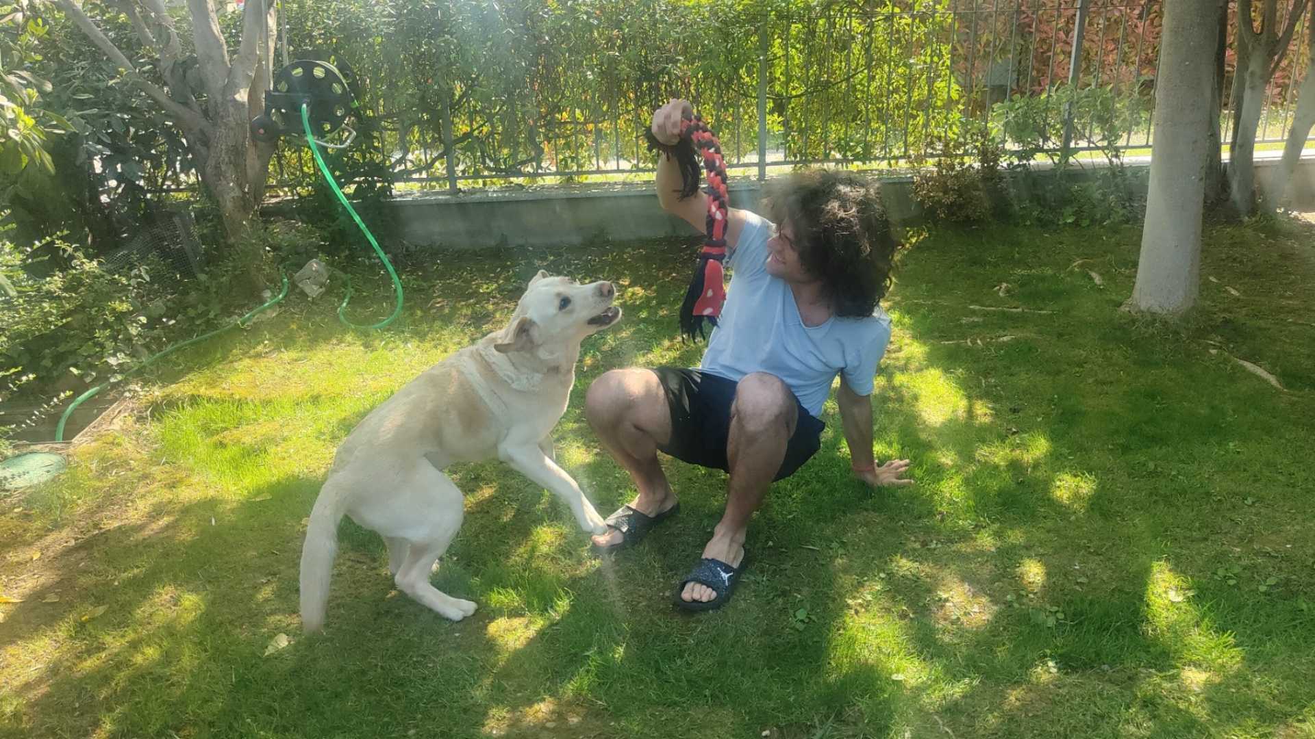 Klea, protagonista del video diventato virale, gioca con il suo padrone Davide Facchini