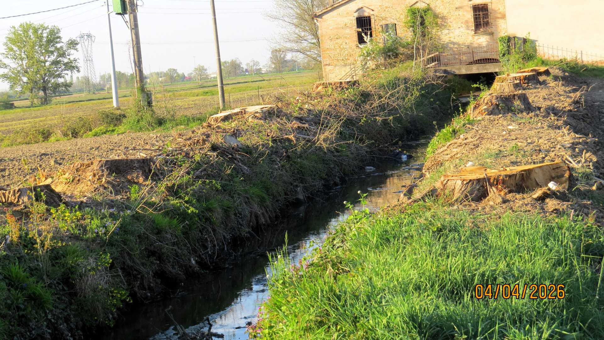 Italia Nostra contro il taglio di 12 piante. «Erano sane»