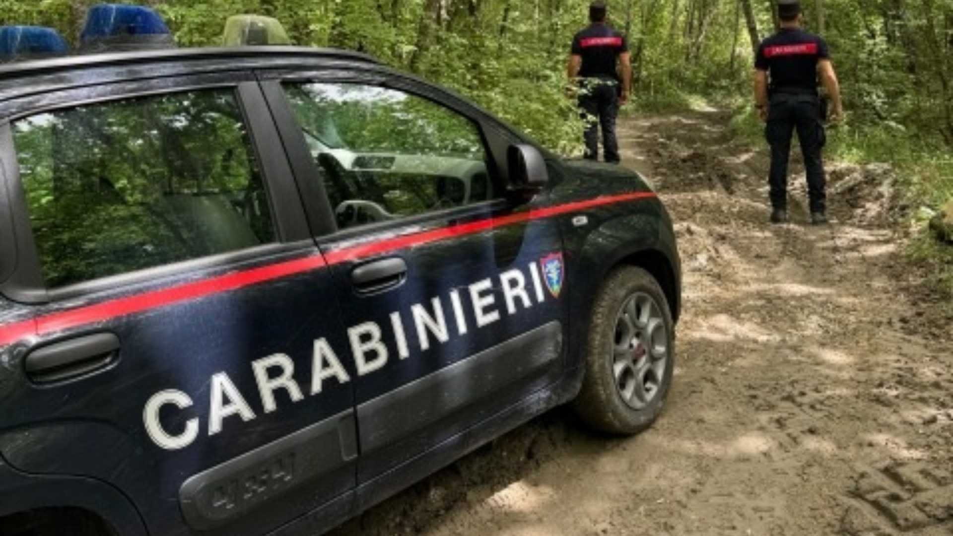 Tartufi raccolti fuori regola: multa e sequestro in Alta Valtidone