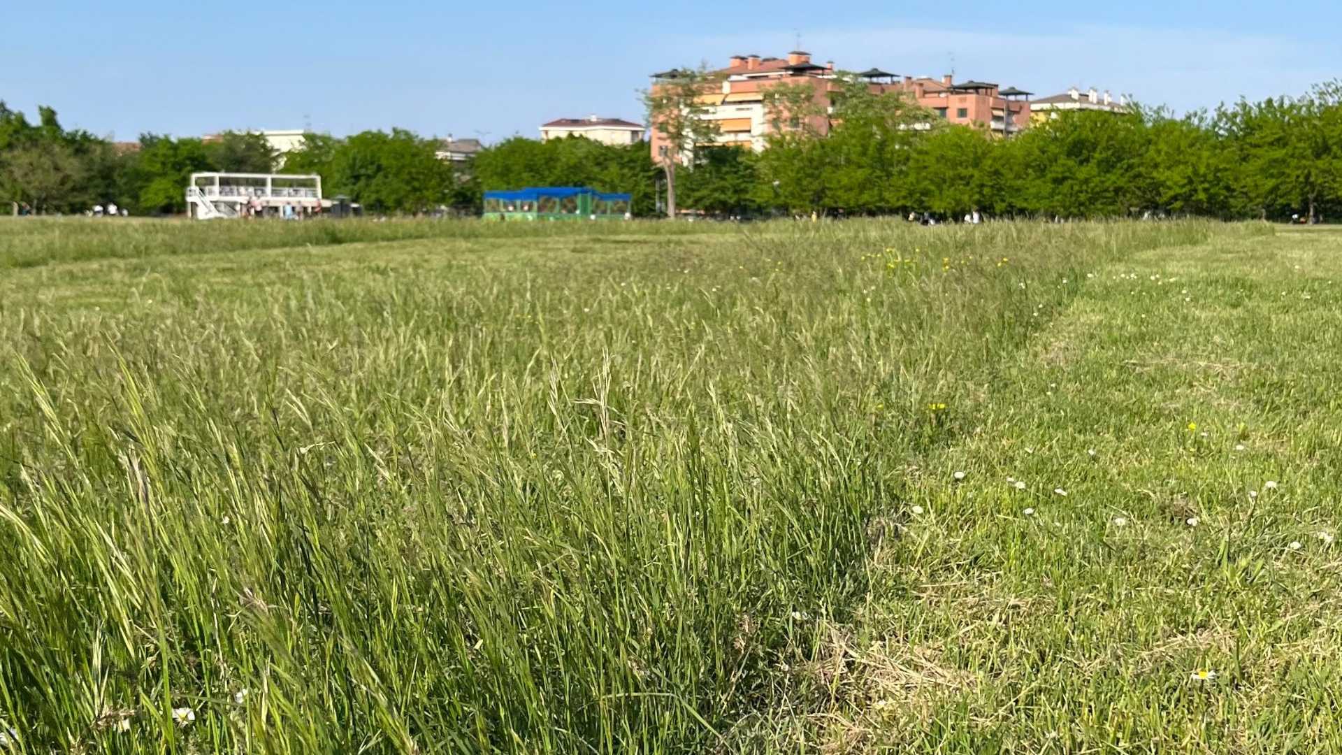 Non dimenticanza ma biodiversità: sono i "corridoi ecologici"