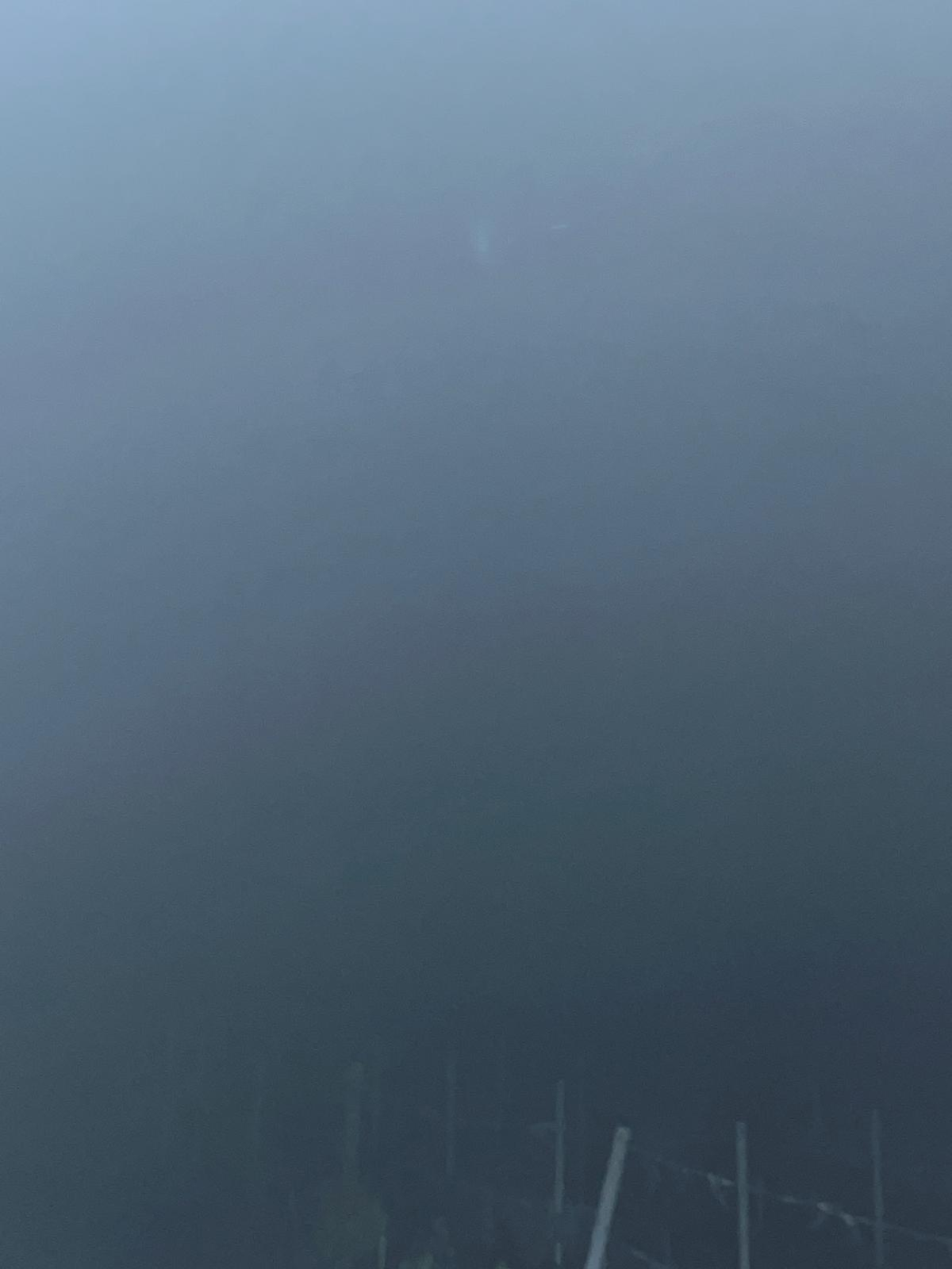 In primo piano si notano, in mezzo al buio, i vigneti e nel cielo, a malapena si scorge l'oggetto luminoso