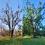 La quercia cambia look: due stagioni in un'immagine