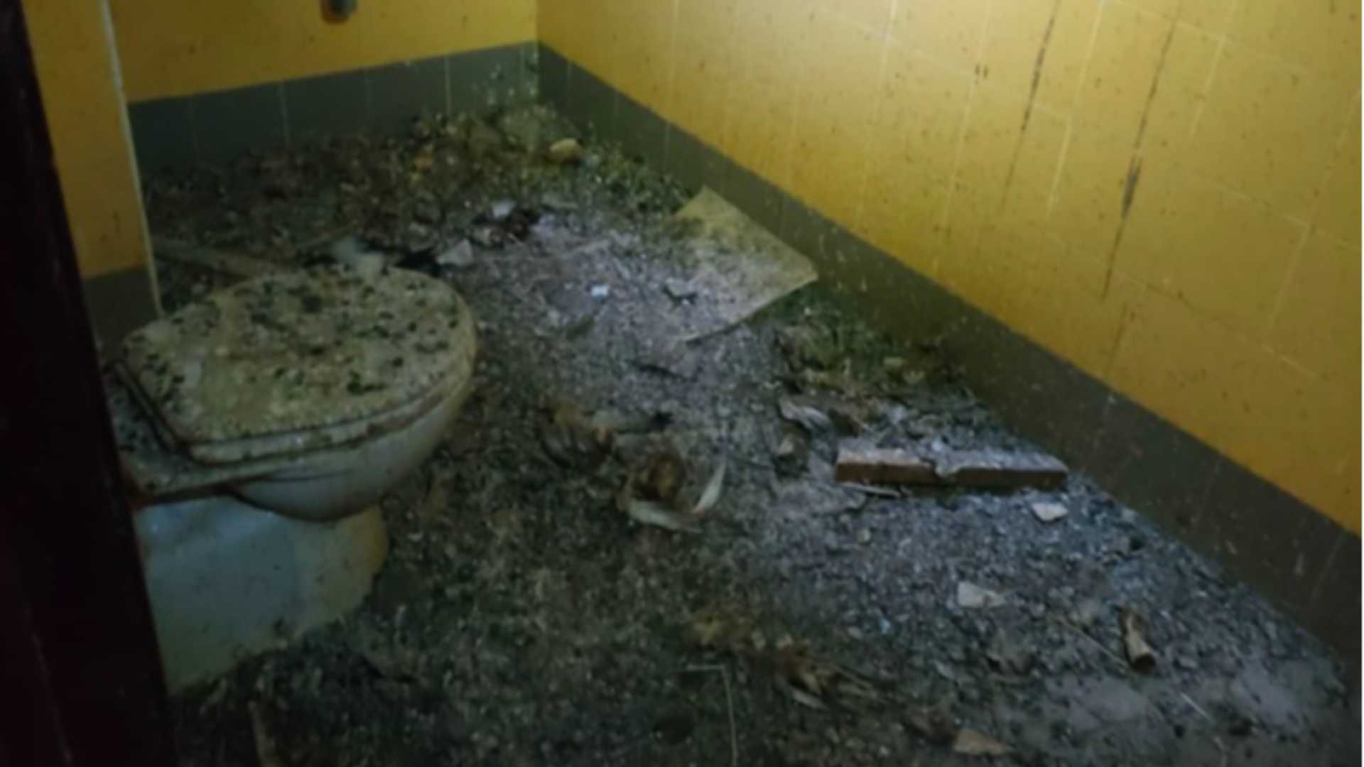Rocca di Borgonovo, ultimo piano invaso dal guano di piccioni