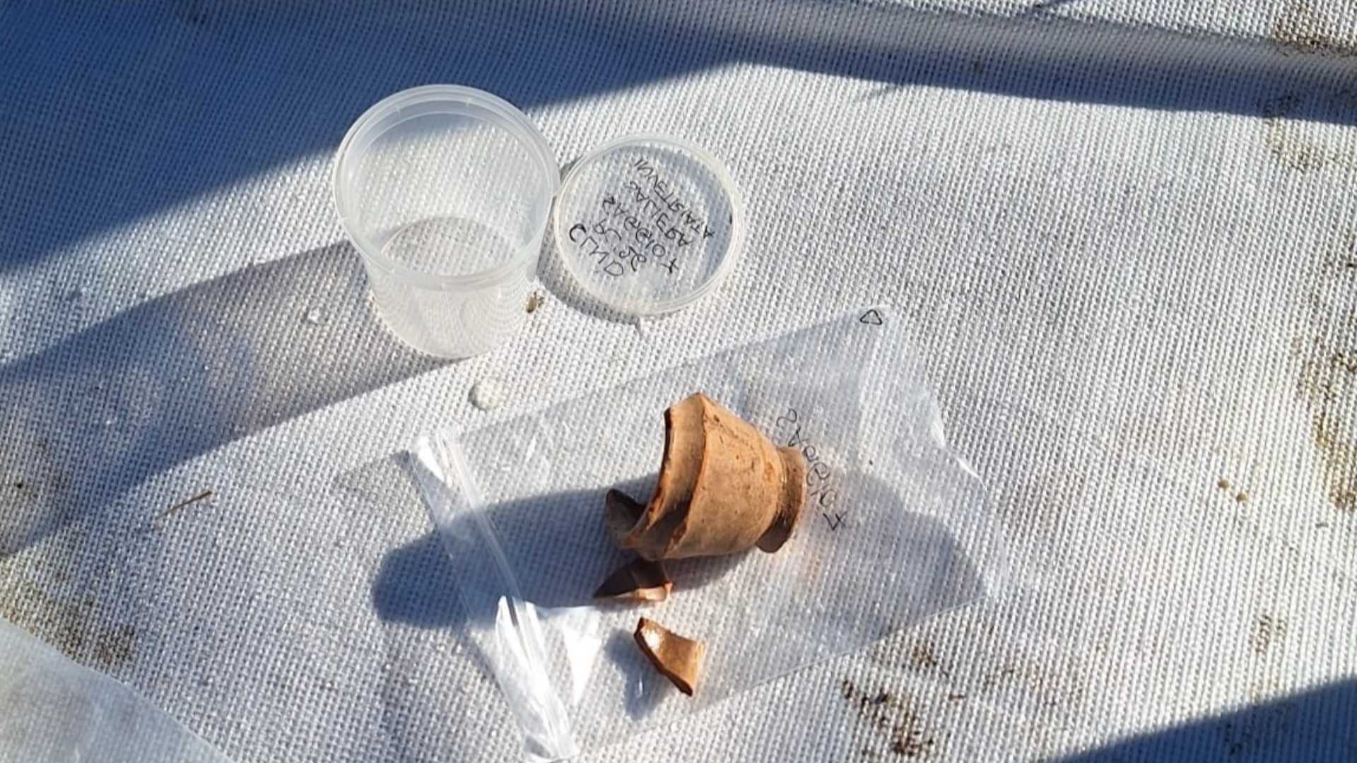 La saliera emersa dagli scavi