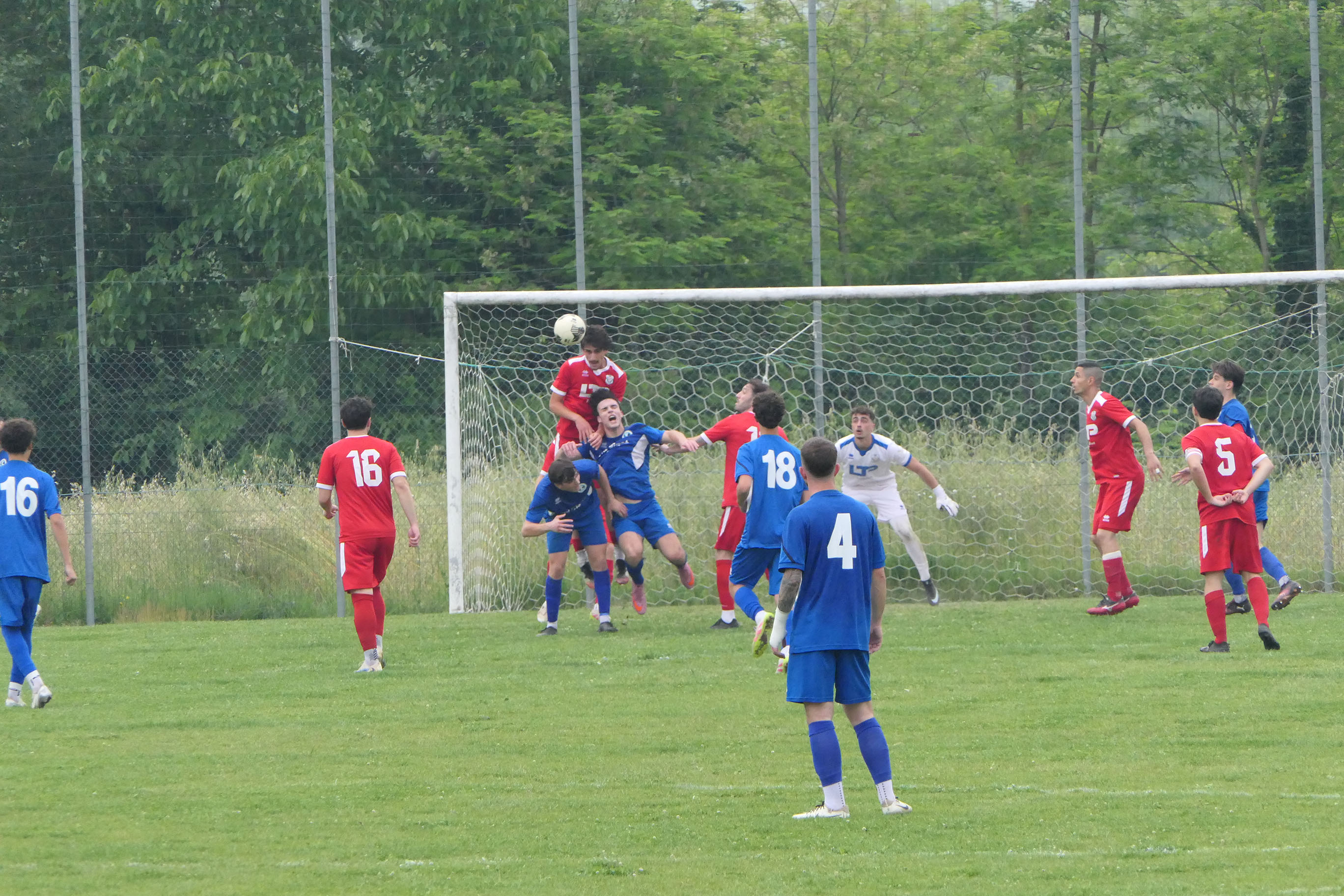 sarmatese pianellese