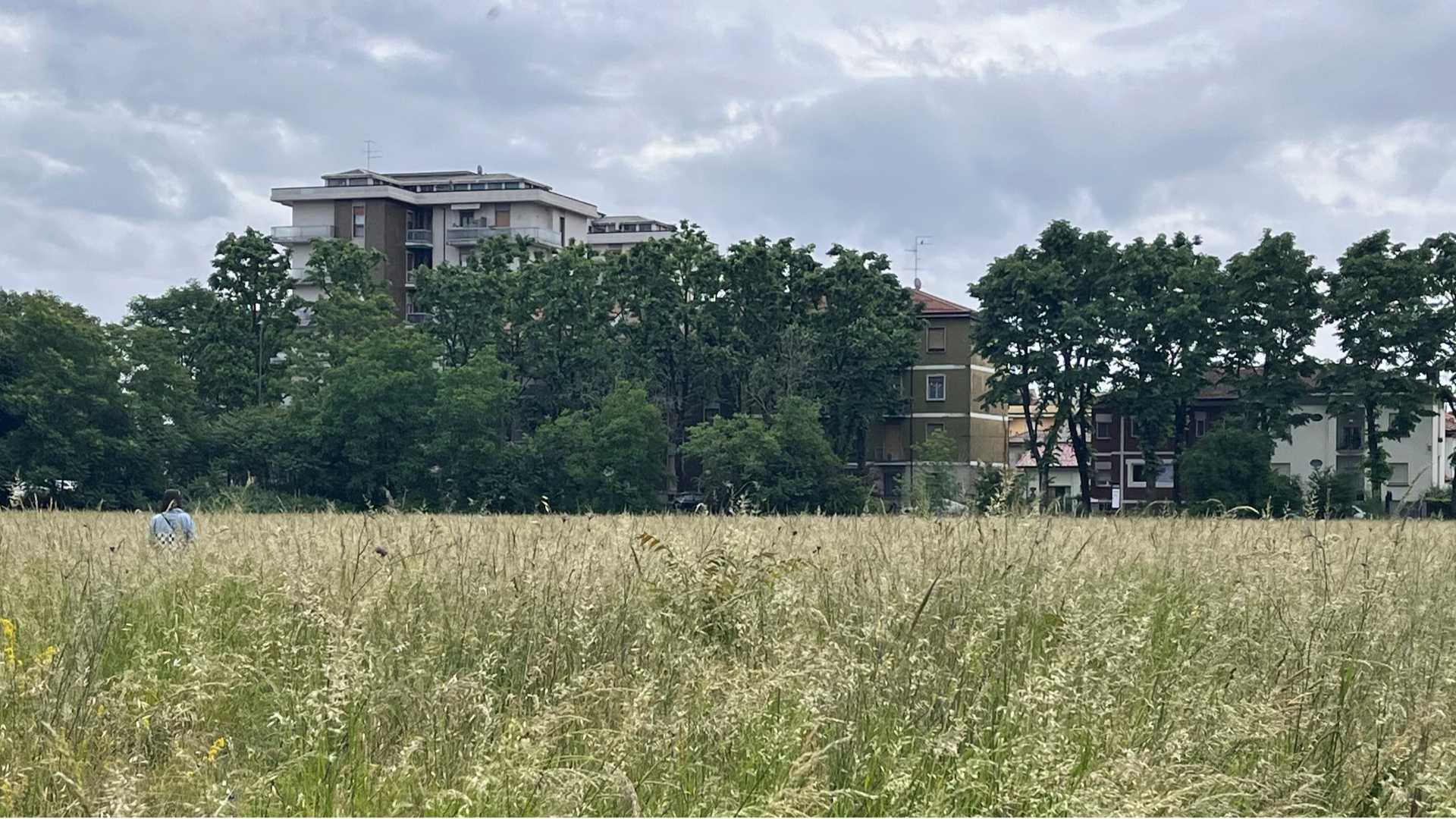 Area ex Camuzzi, topi anche sugli alberi: «Qui sempre peggio, igiene a rischio»