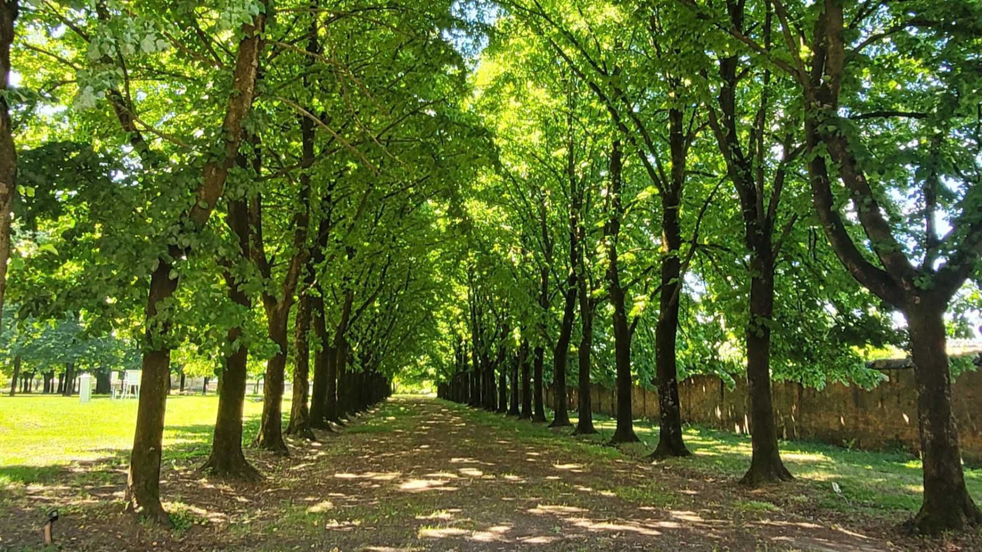 Parco del Collegio Alberoni- © Libertà/Dea De Angelis