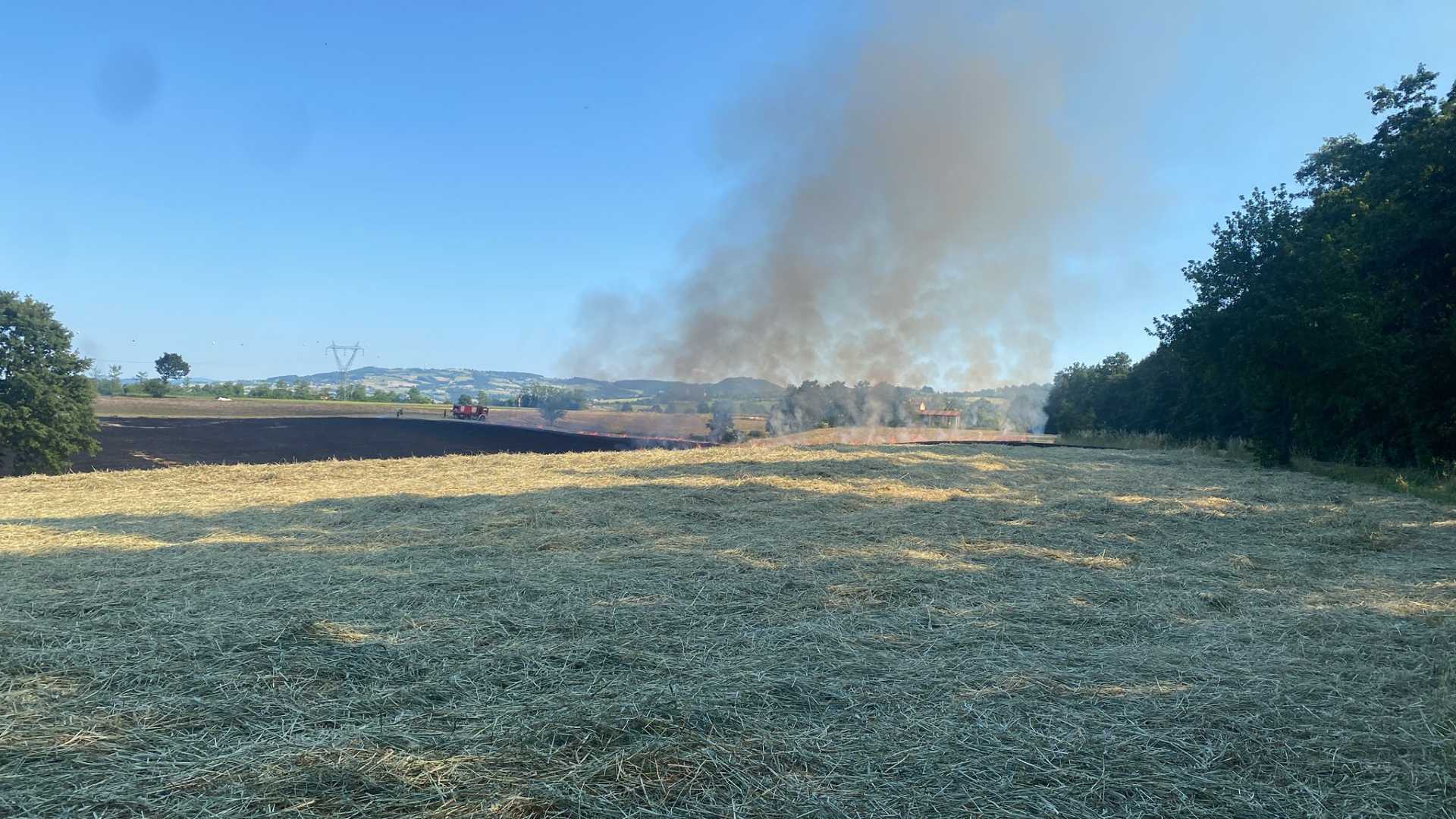 Fiamme e fumo dai campi, arrivano i vigili del fuoco