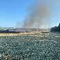 Fiamme e fumo dai campi, arrivano i vigili del fuoco