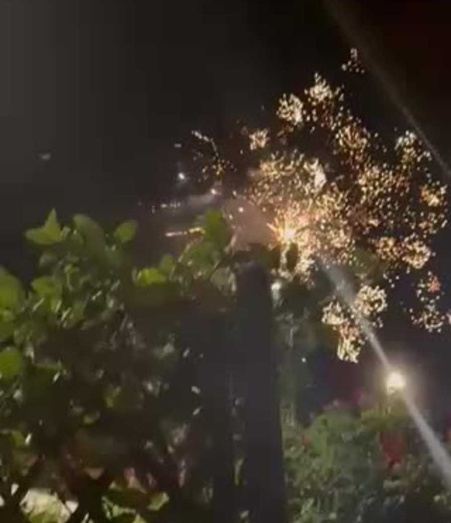 «Basta, ora alla Cavallerizza anche i fuochi d'artificio notturni»