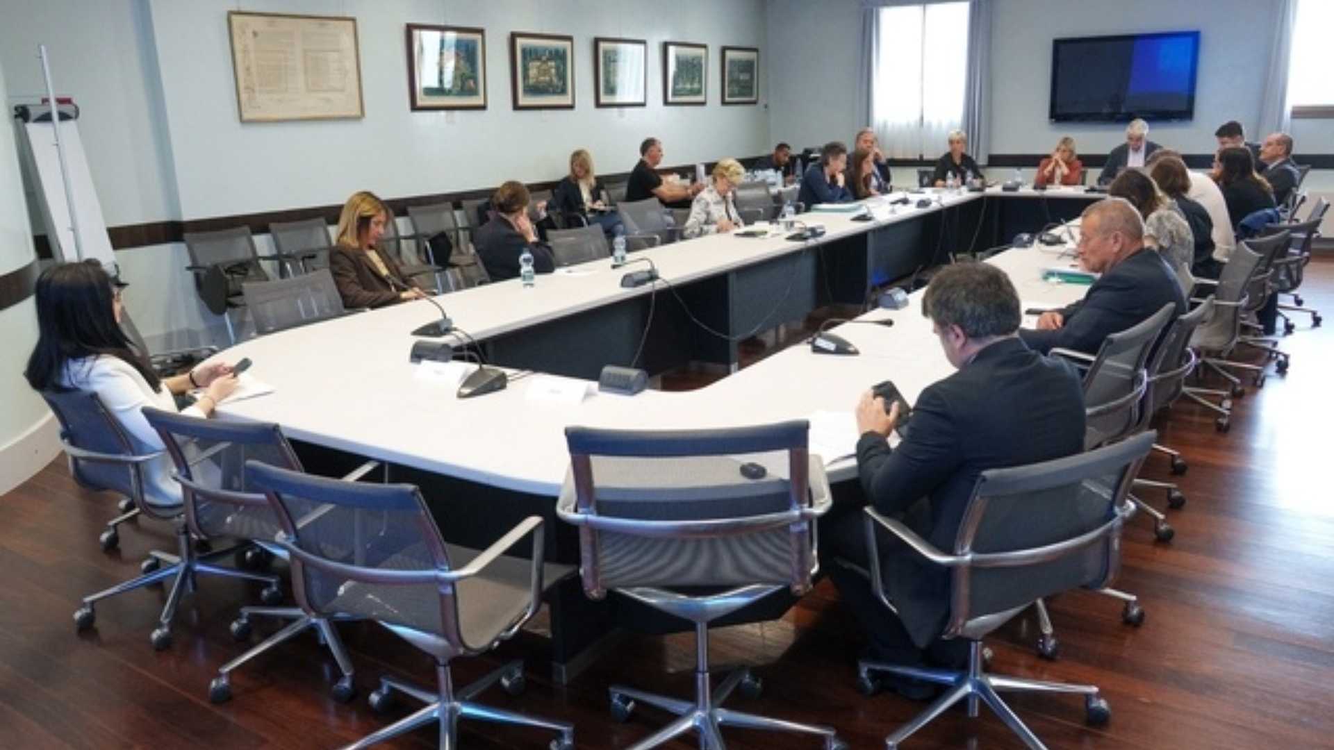 Audizioni su quattro proposte normative abbinate per istituzione servizio psicologia territoriale
