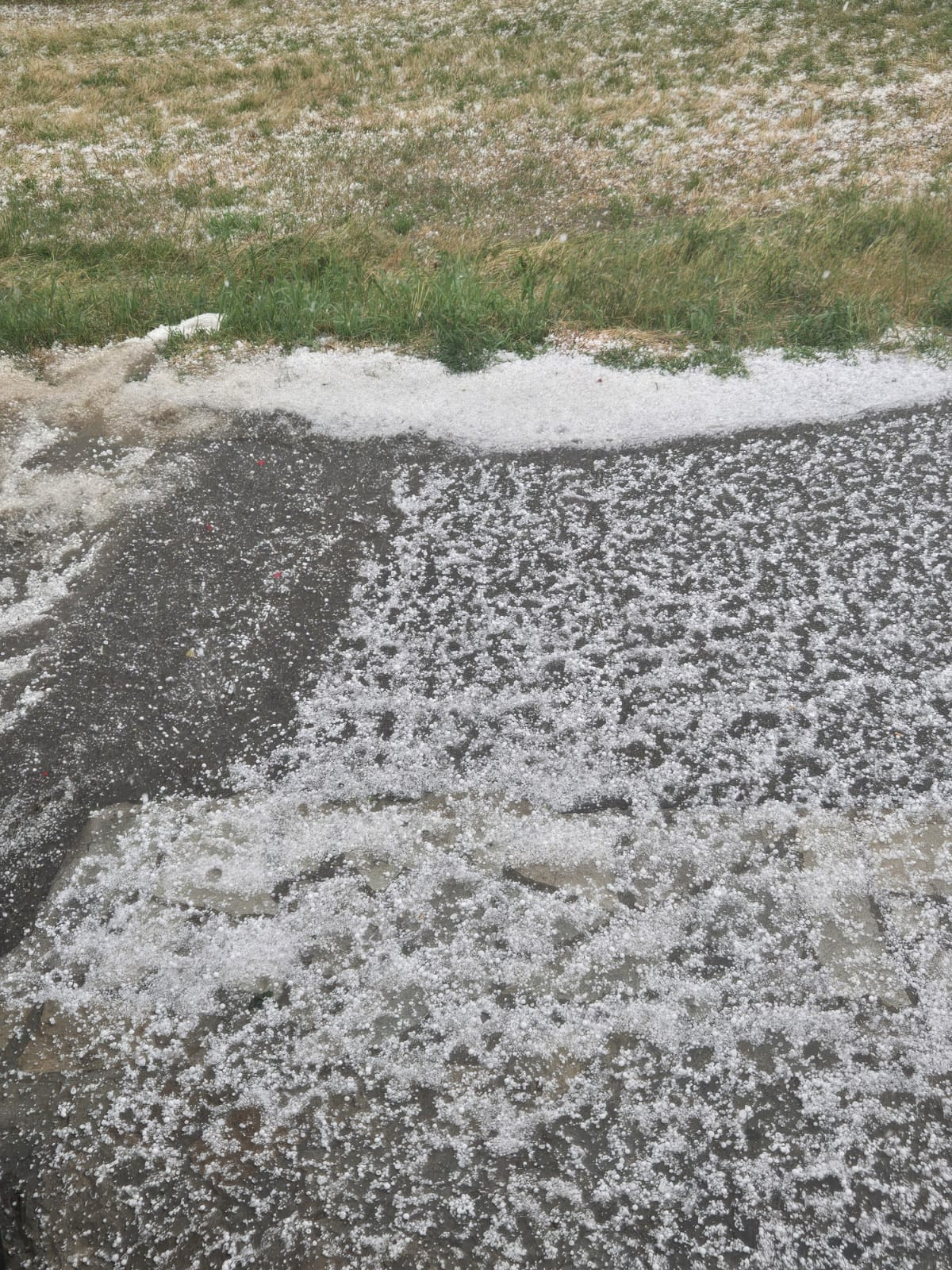 Campi imbiancati a Robecco, Poggio Rondino in territorio di Corte Brugnatella