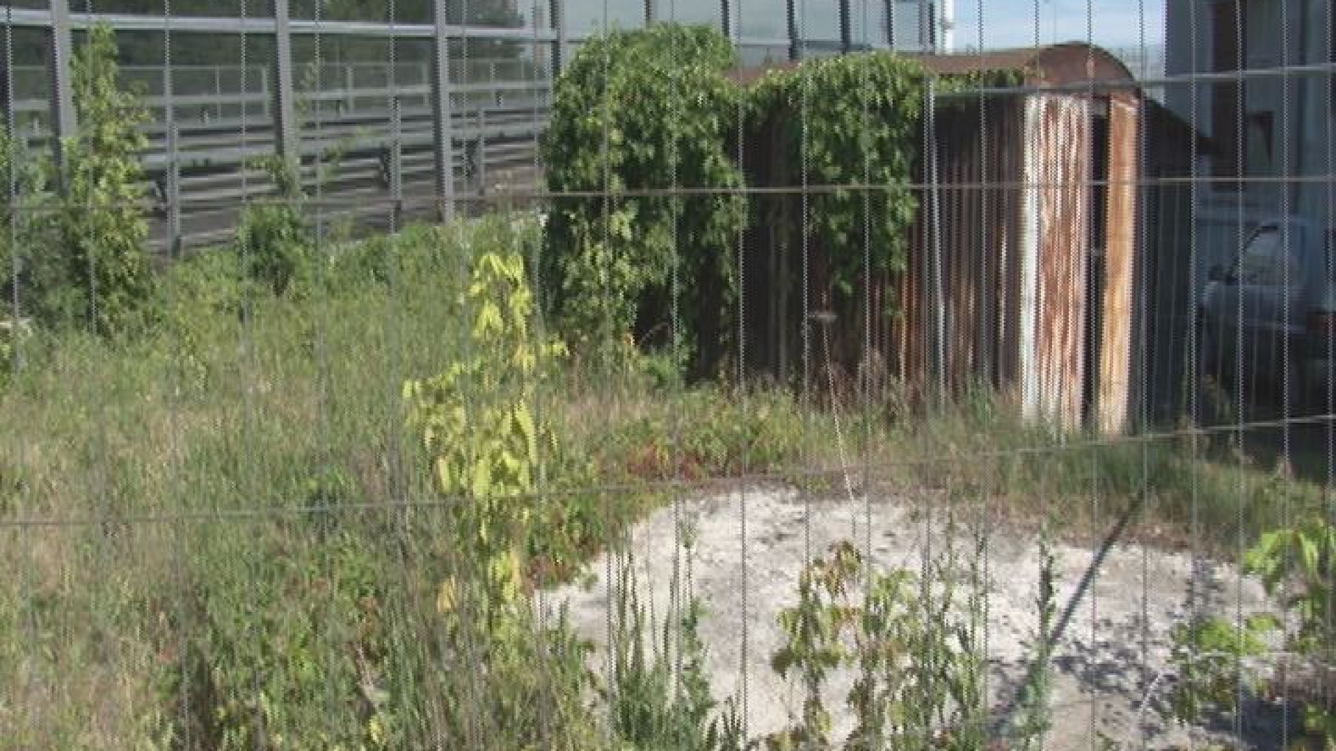 Torrione Fodesta, di nuovo topi e zanzare: la rabbia dei residenti