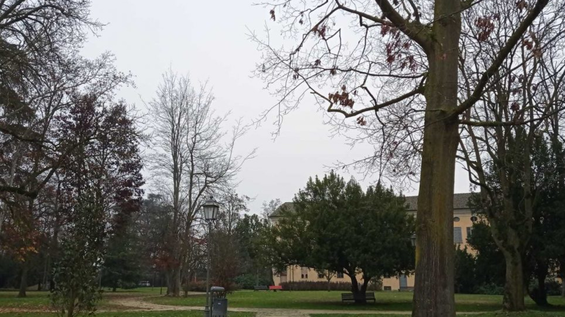 Un albero in onore di Katia Mellini, Castel San Giovanni ricorda così la parrucchiera