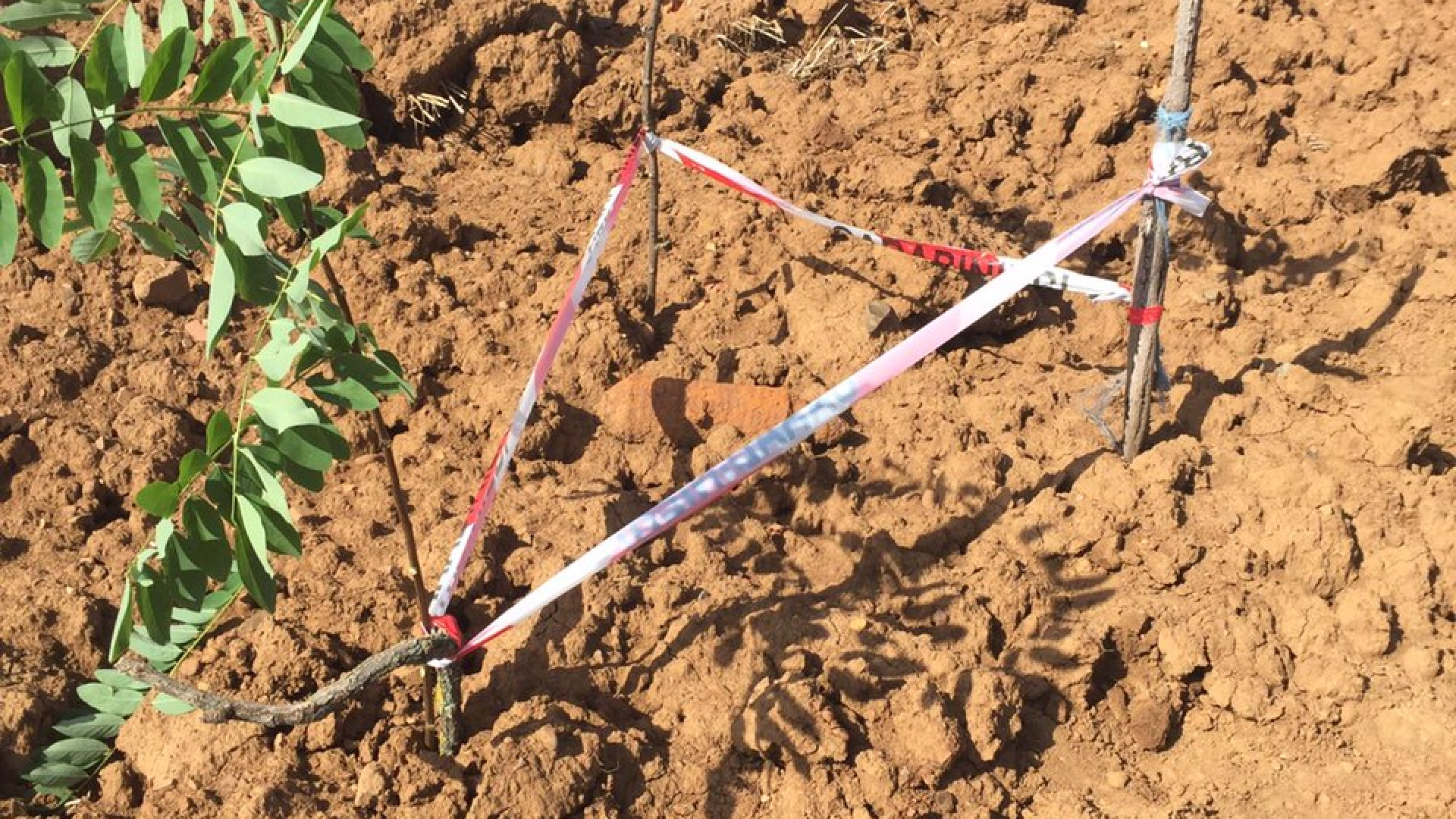Torrazzo, agricoltore trova in un campo proiettile della Seconda guerra mondiale