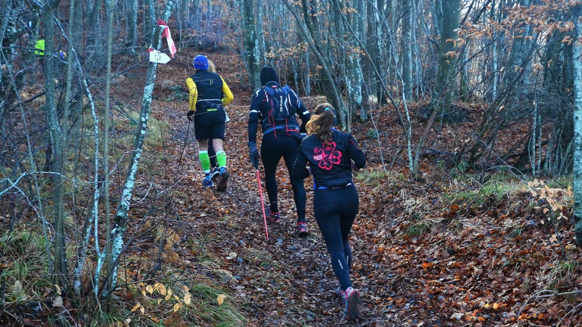 Correre in Libertà: weekend "da lupi" in Val Nure e una marcia lungo il Po