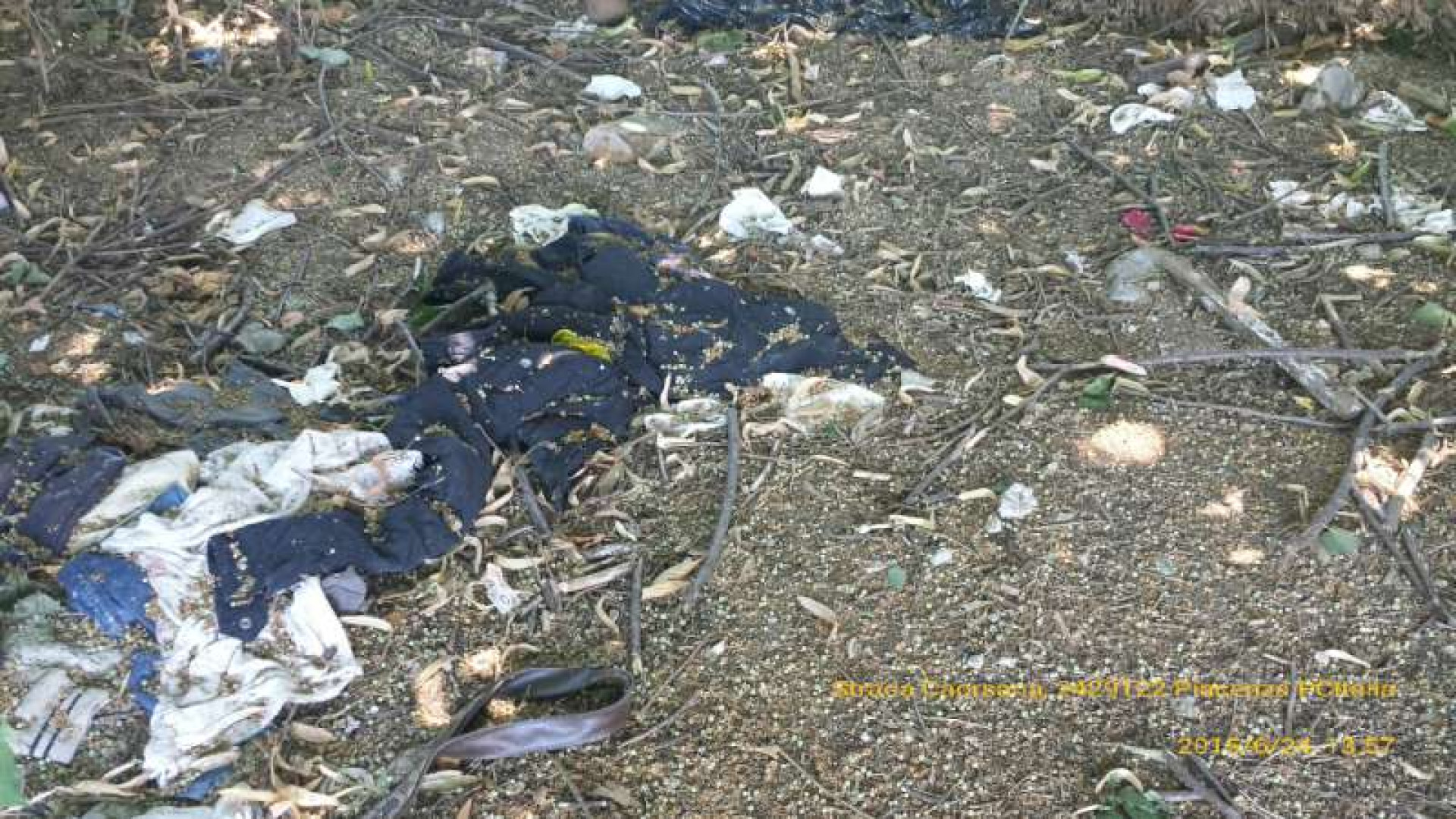 Degrado al cimitero di Le Mose: nuove segnalazioni, soliti incivili