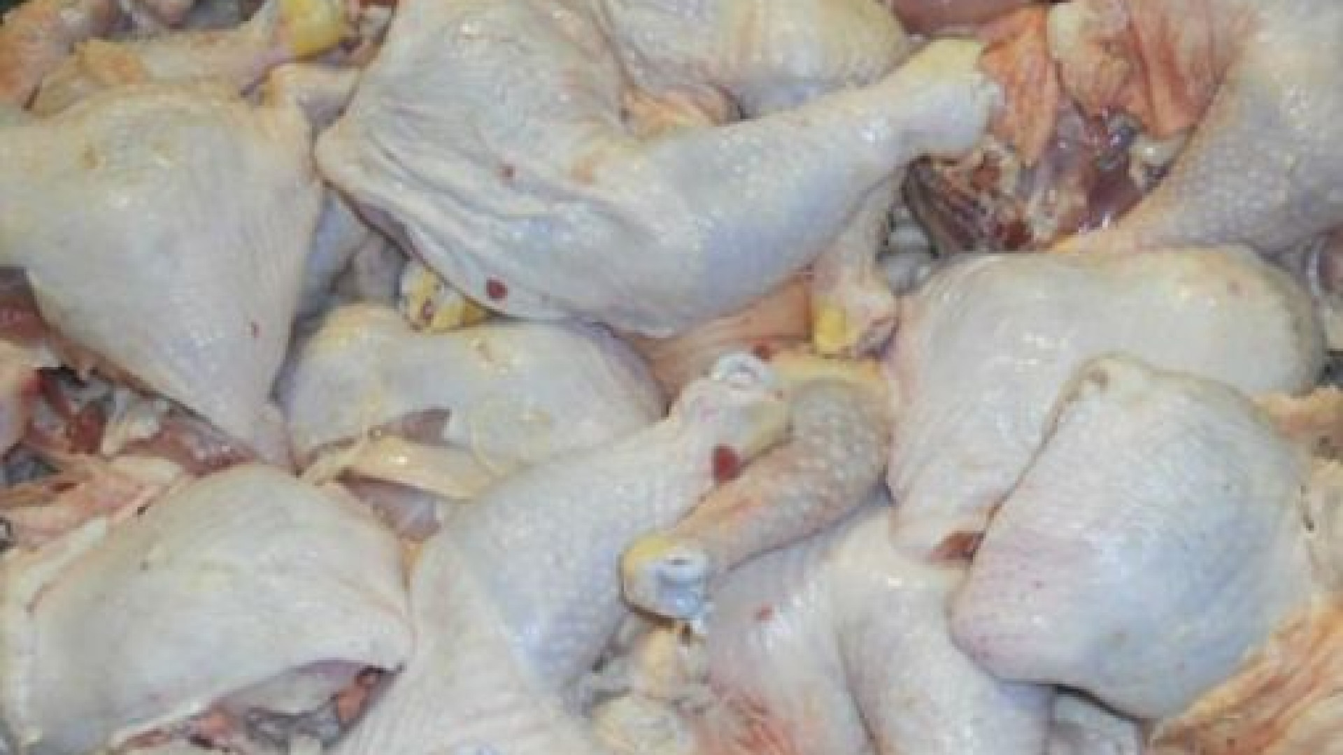 Ladri di polli a Gragnano, spariscono alimenti per 2.000 euro