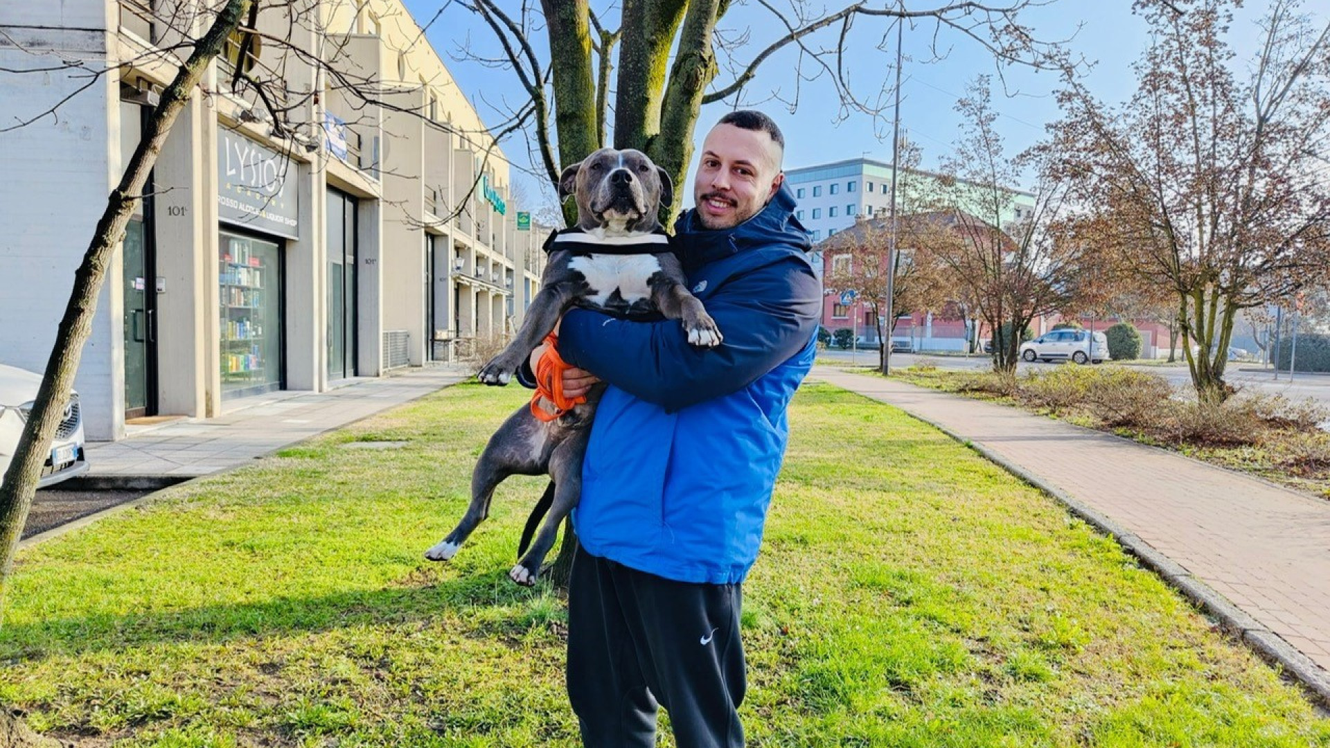 Lieto fine per Jason: dopo l'appello di Oipa il pitbull abbandonato ha trovato casa