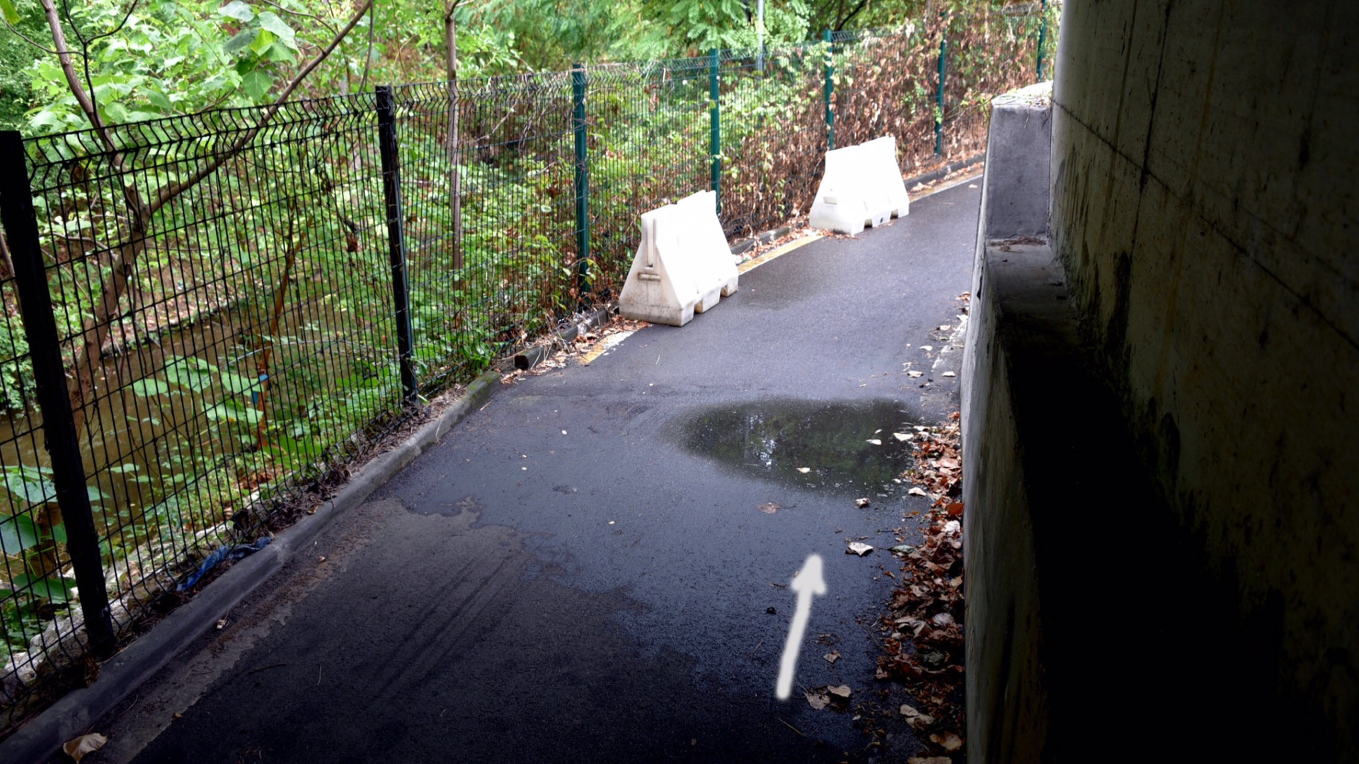 Pista ciclabile Galleana sotto accusa: "Mio figlio rischia di perdere la vista"