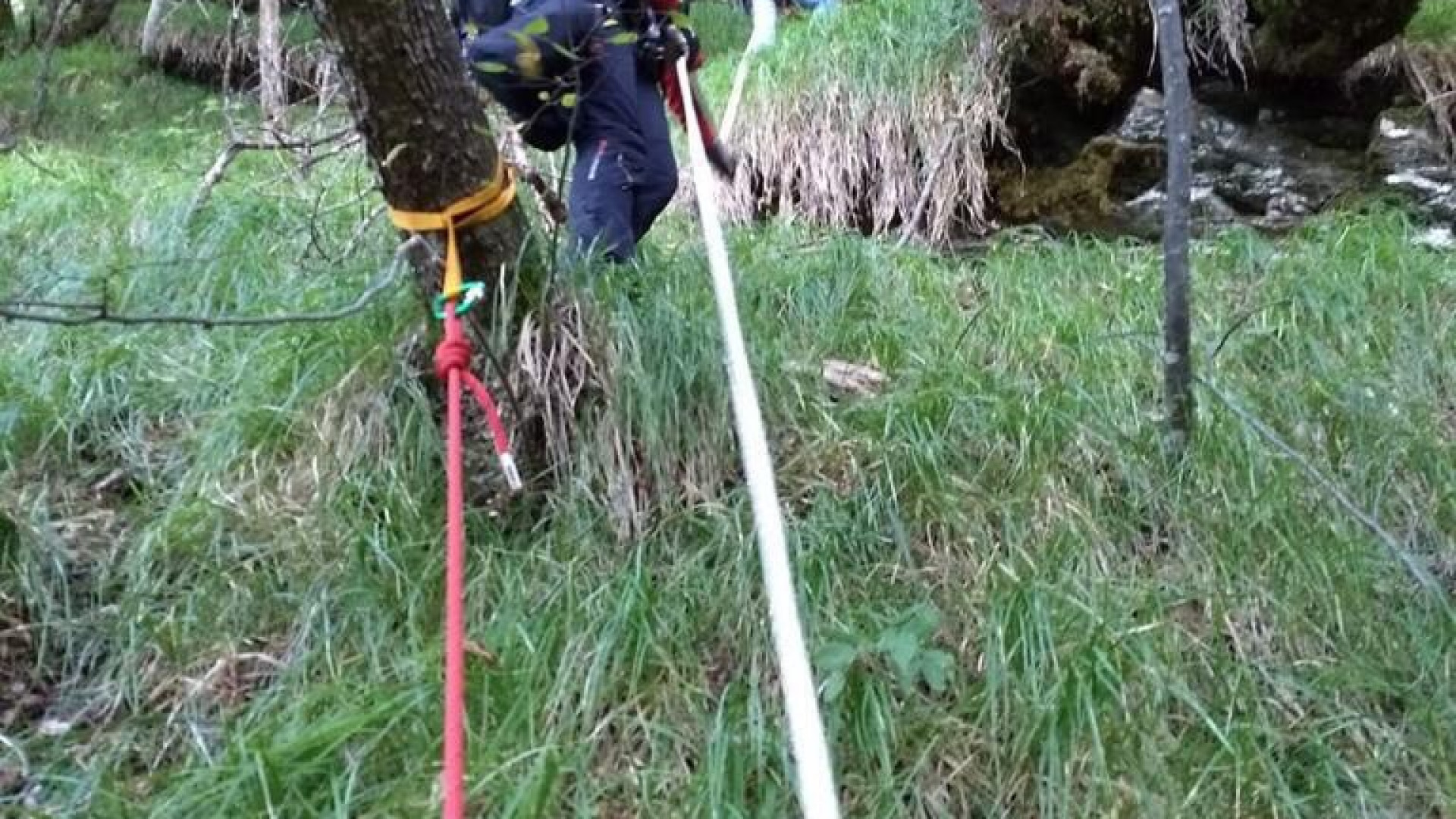 Precipita in una scarpata in Valdaveto, muore fungaiolo piacentino di 66 anni