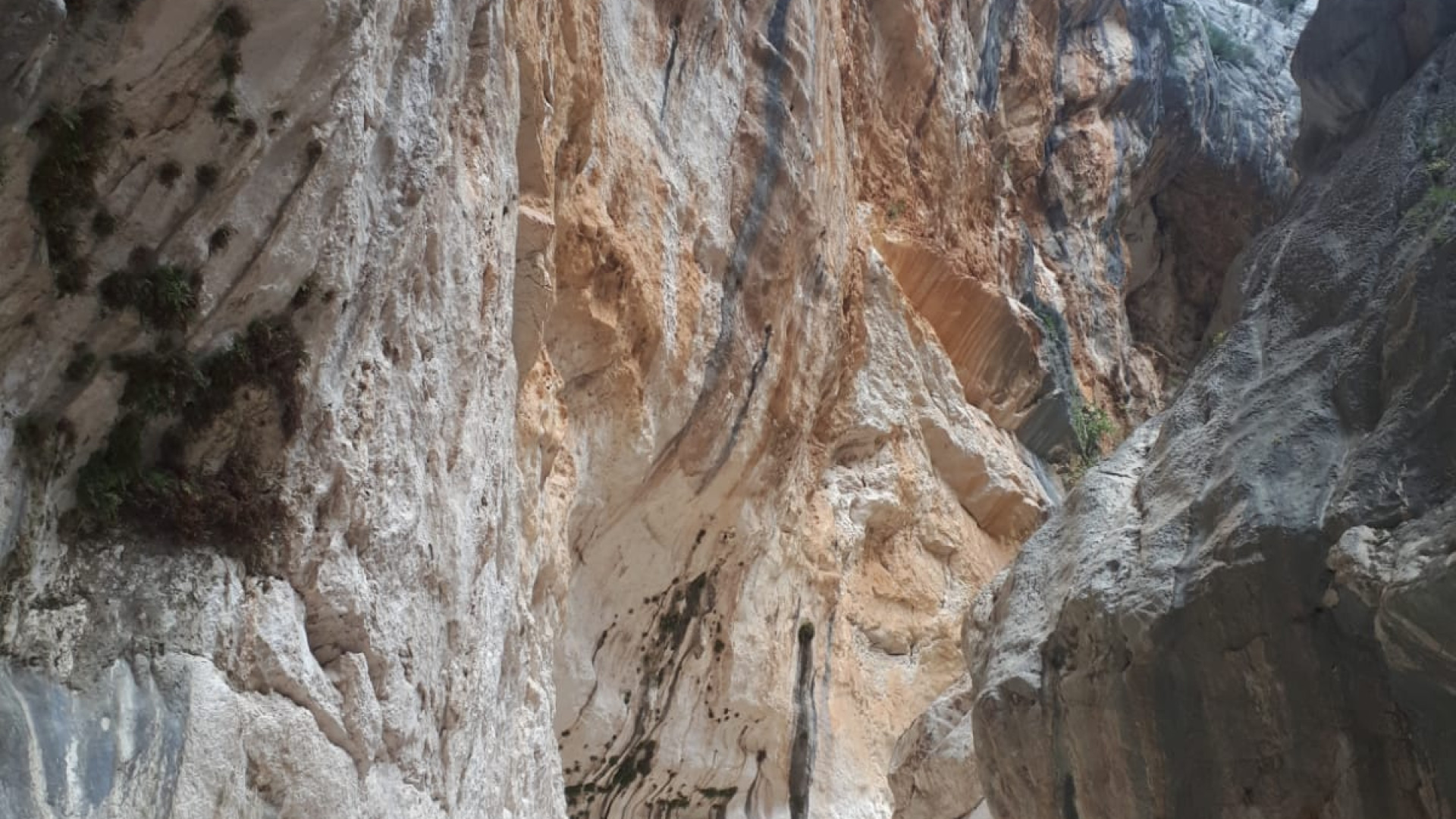 Pensieri in quota. Gorropu: tra i canyon più spettacolari d'Europa. Podcast
