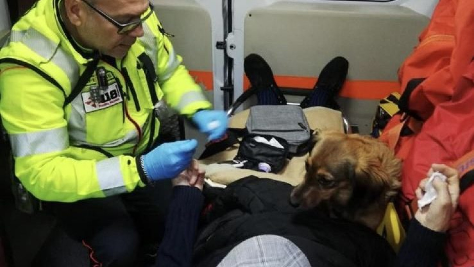 Si sente male e si preoccupa per il cagnolino. Anche il fedele amico in ambulanza