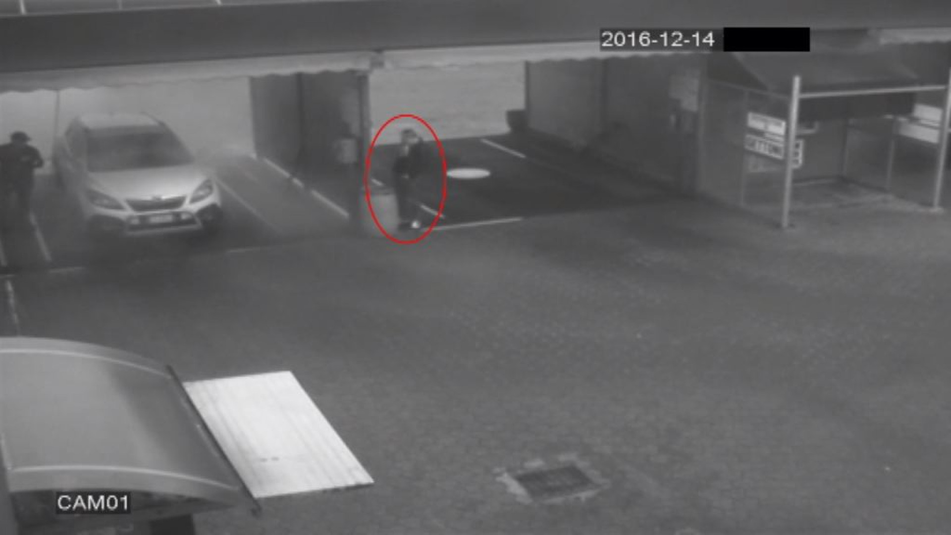 Ruba l'auto mentre il padrone la sta lavando. GUARDA IL VIDEO