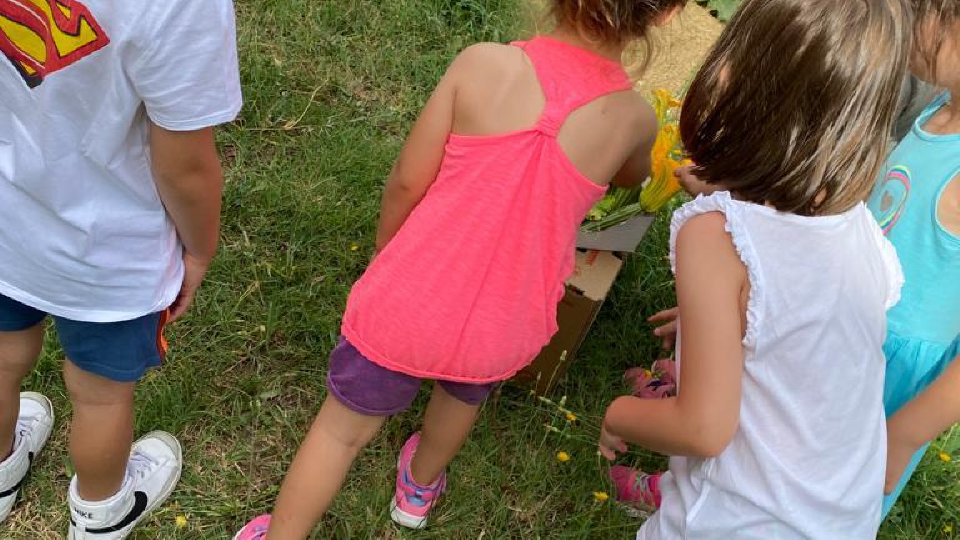 Zucchine e insalata davanti all'asilo: ecco i cesti preparati dai bimbi-contadini