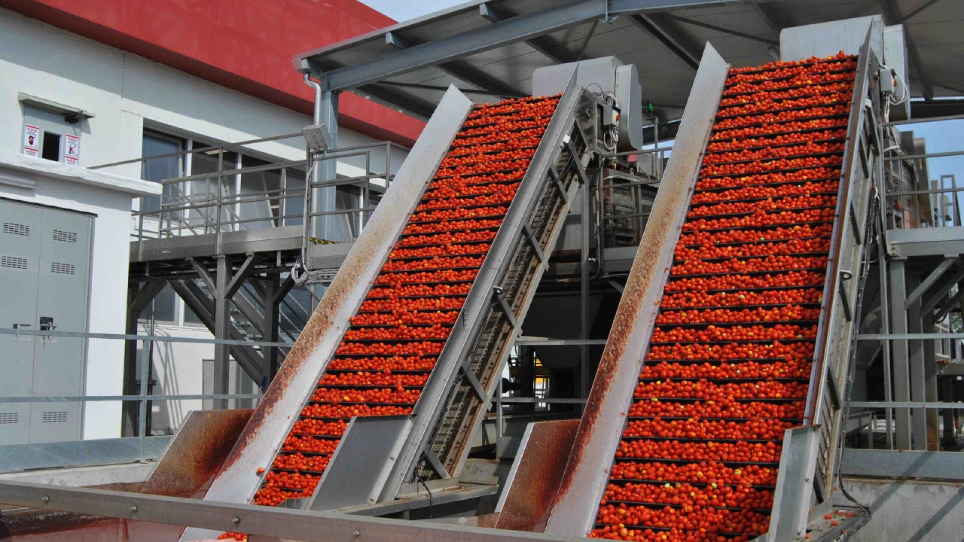 Pomodoro Nord Italia, lavorate quasi tre milioni di tonnellate