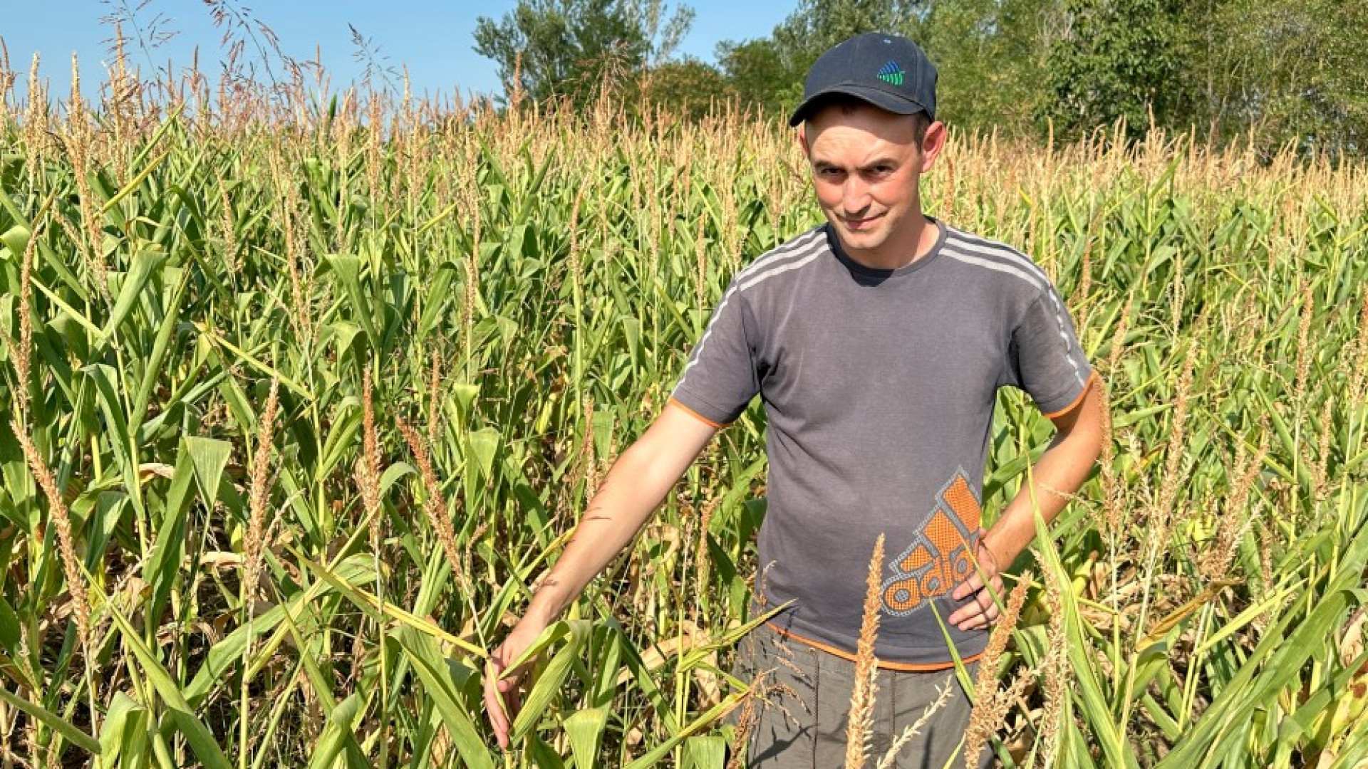 Stop ai prelievi dal Nure. Cento agricoltori: "Il torrente scorre sui sassi e noi in crisi"