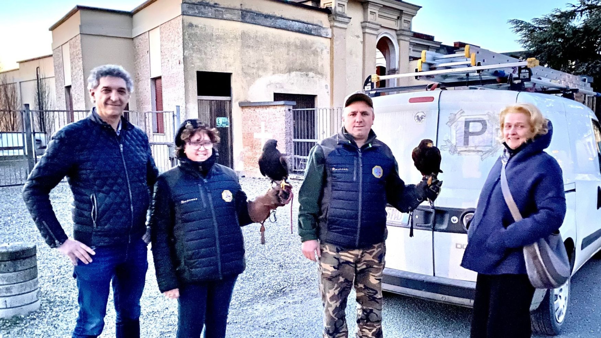 Cimitero di Cortemaggiore, falchi in azione per allontanare i troppi piccioni