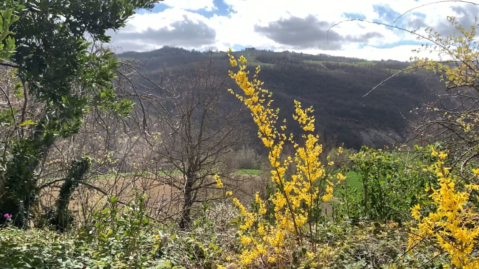 Raffiche di vento sui crinali, allerta meteo per la giornata di domani