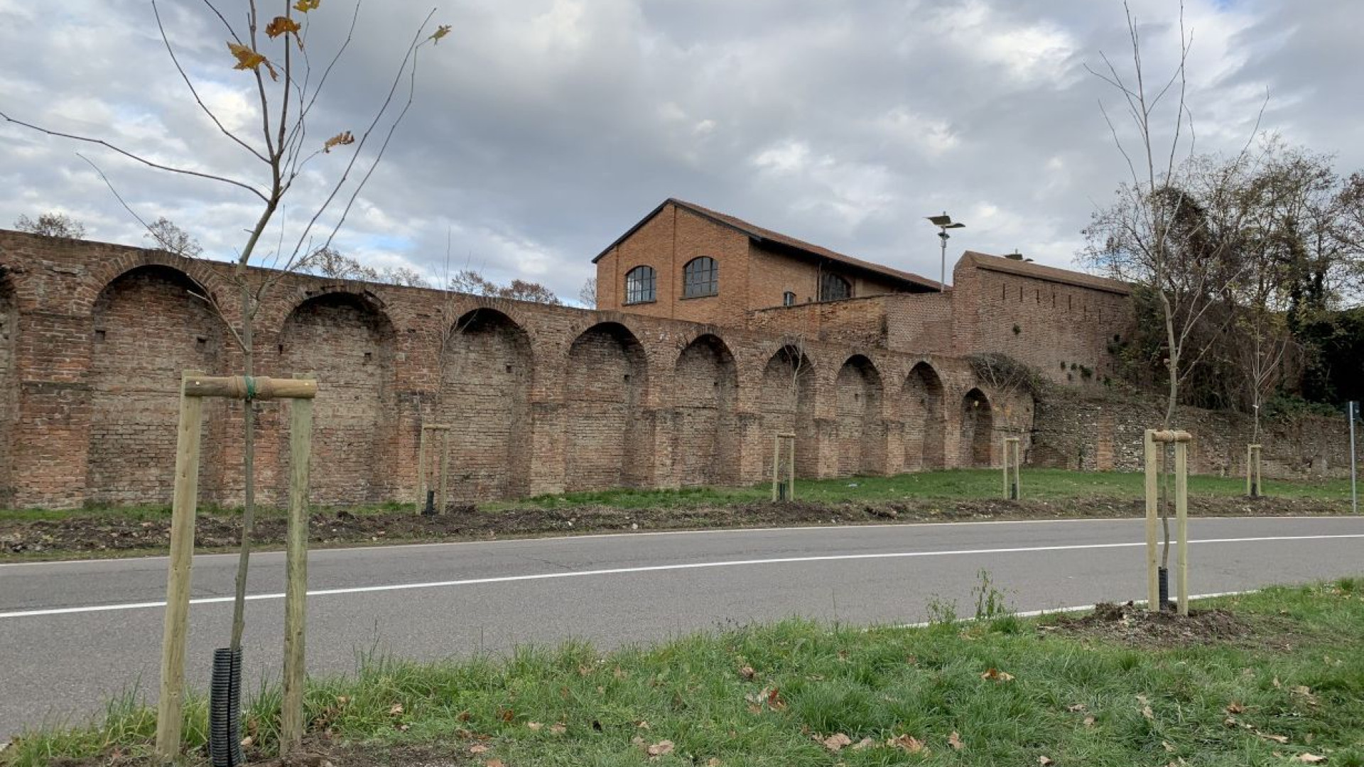 Oltre 50 nuovi platani in viale Tramello. Mancioppi: "Forte impronta verde"