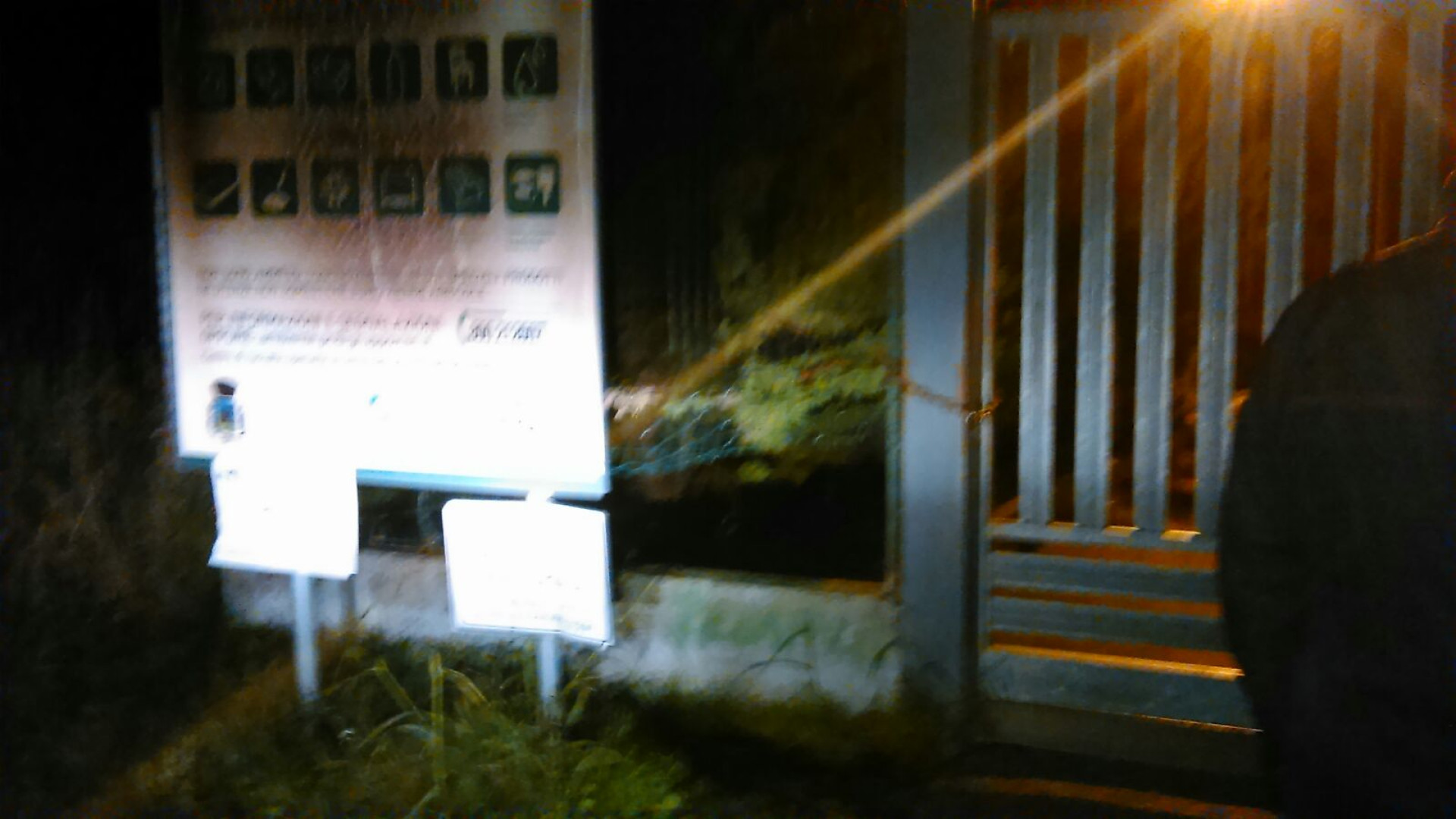 Intrusi nell’area ecologica di Castelsangiovanni, fermato un uomo