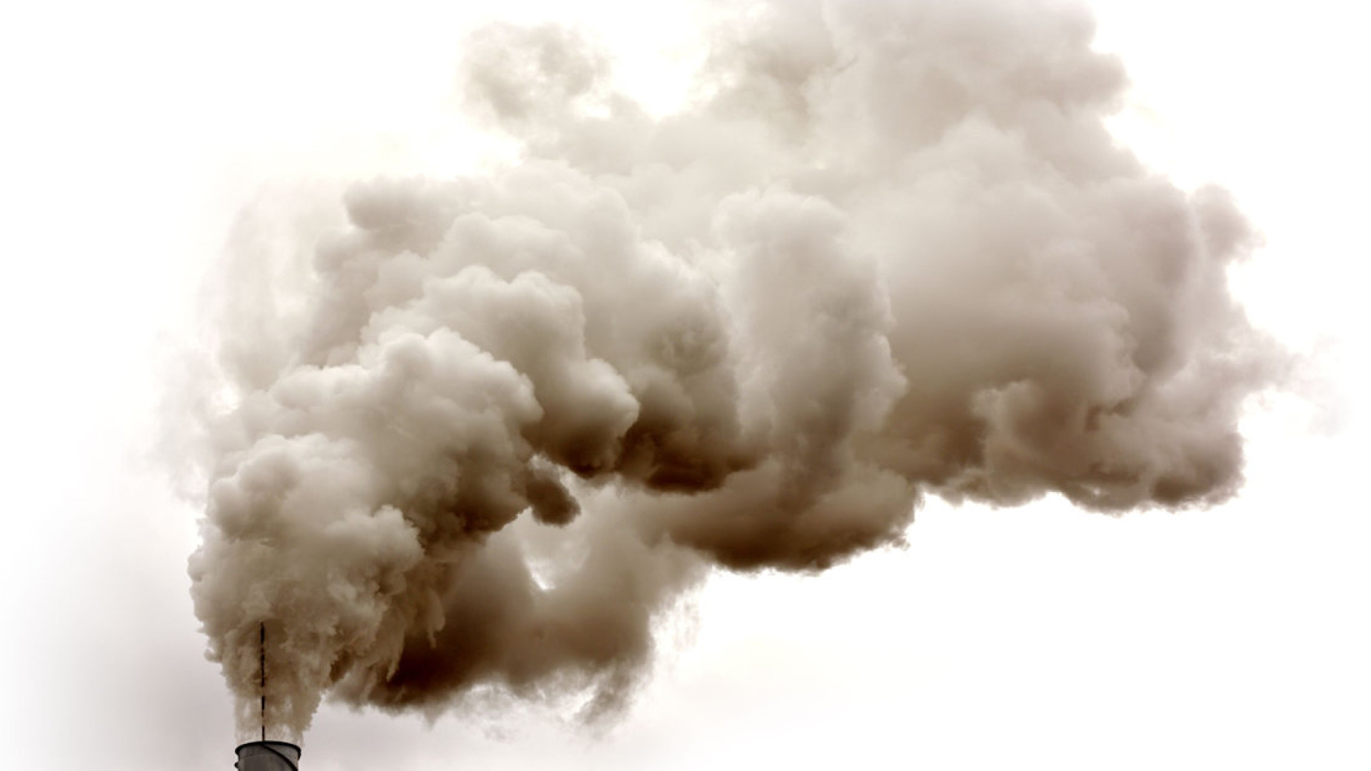 La decarbonizzazione negli Stati Uniti passa da whisky, gelati, salse e formaggi