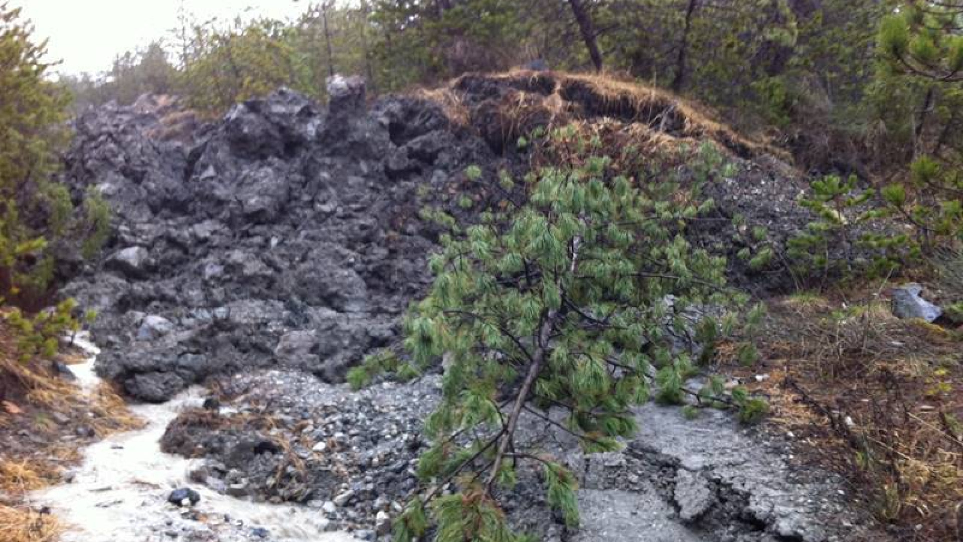 Piogge eccezionali: le aziende danneggiate possono chiedere i contributi