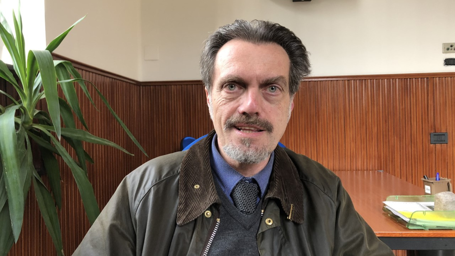 "Collare elettrico al cane da caccia non usato". Archiviata denuncia per maltrattamenti