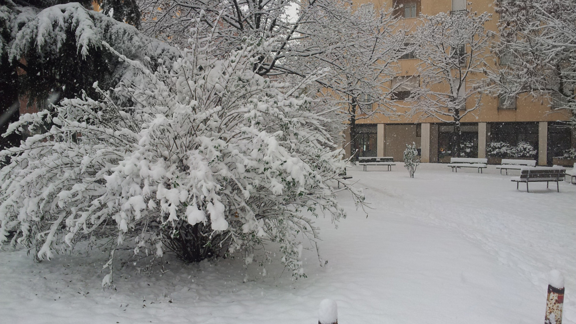 Il 2012 anno tra i più caldi degli ultimi duecento. Domenica torna la neve