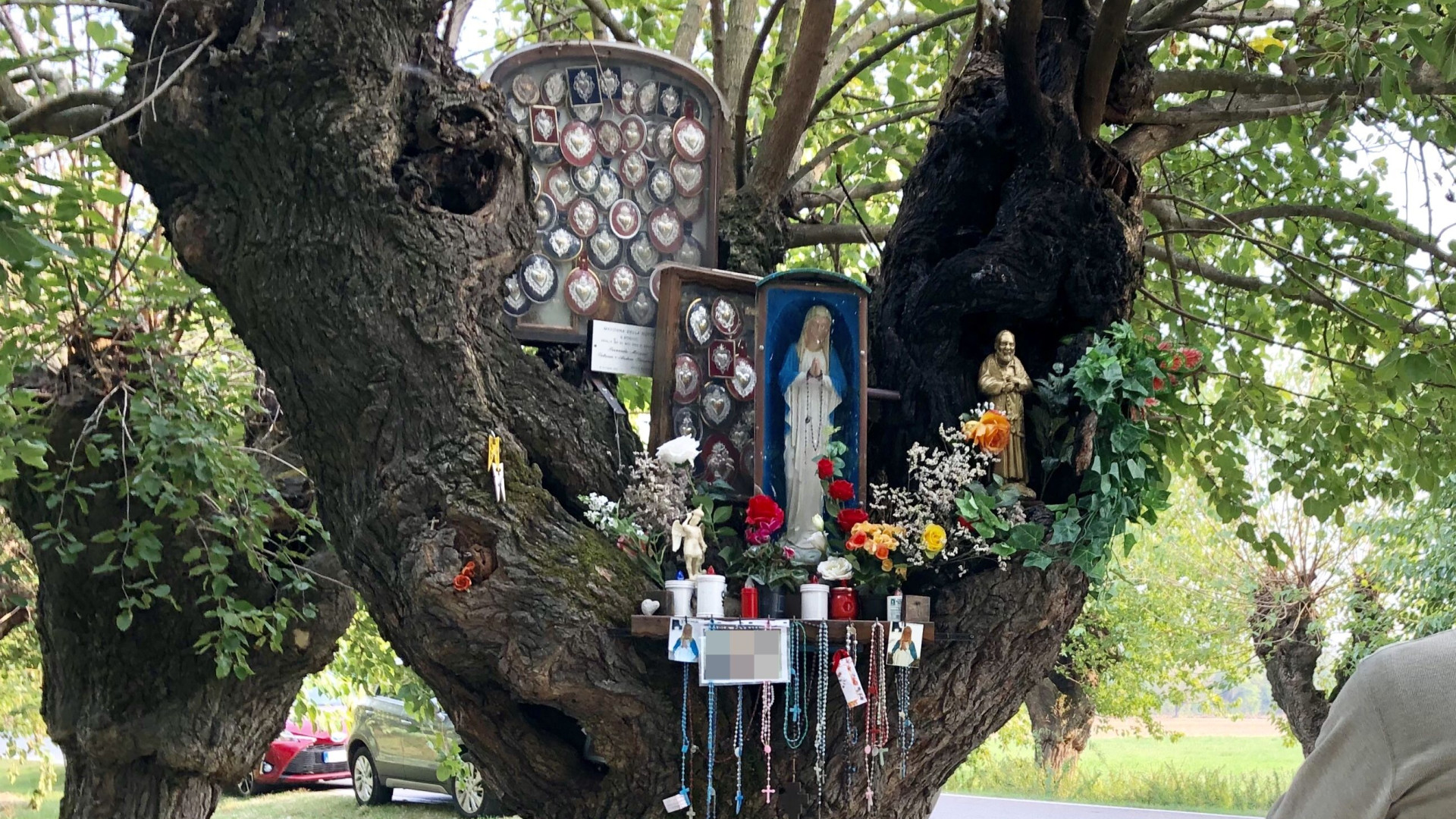 Vandali senza scrupoli, bruciata la Madonna di San Bonico