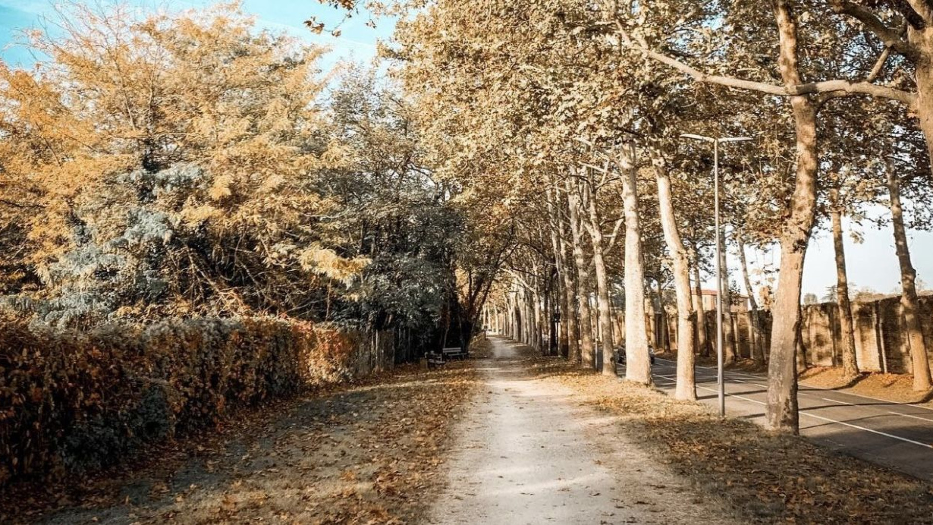 E' primavera: colpa del Föhn, domani termometro in calo. Ottobre più caldo di sempre