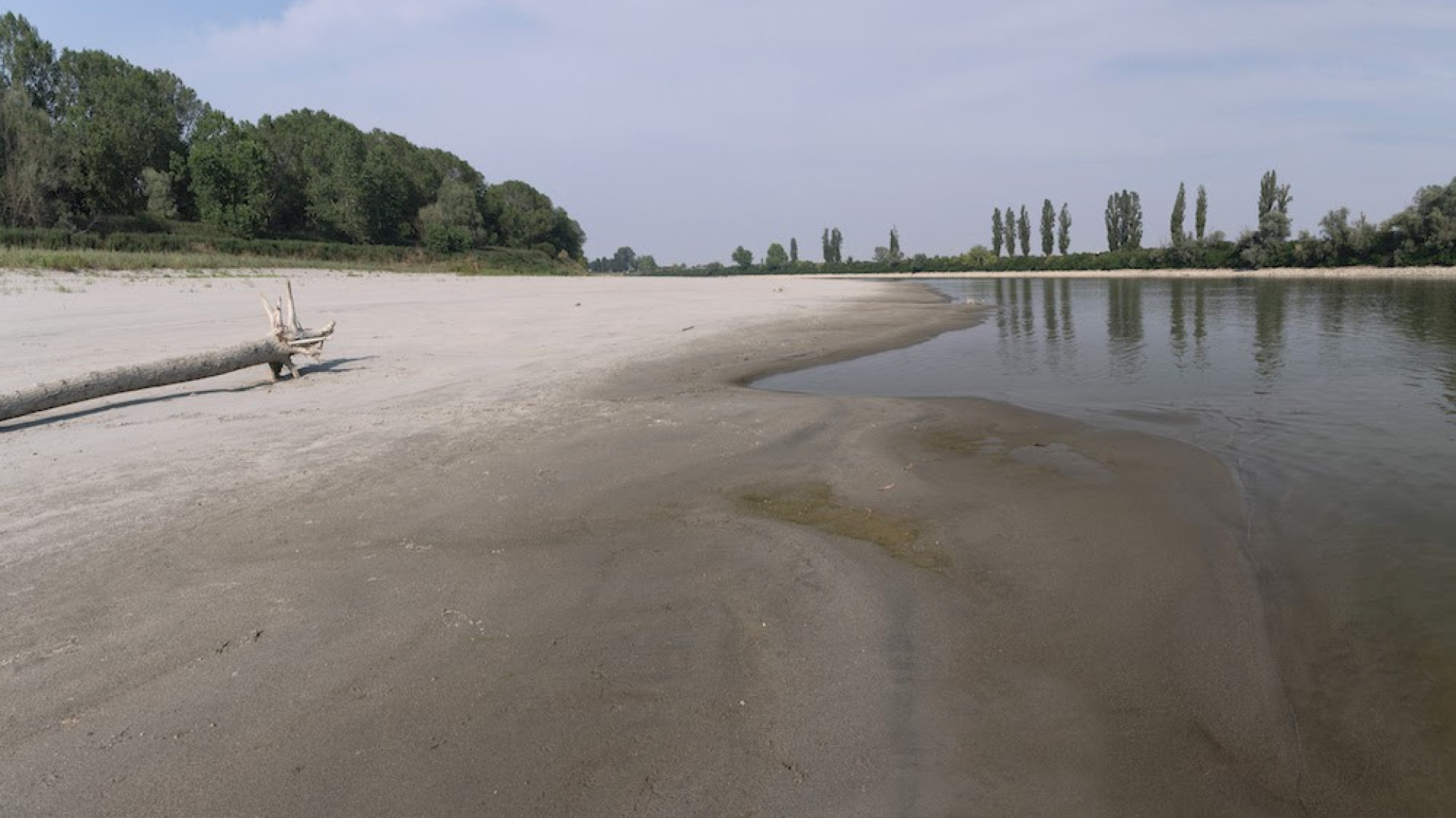 Mancanza d'acqua in agricoltura. "Una sfida alla sopravvivenza non stoccarla"