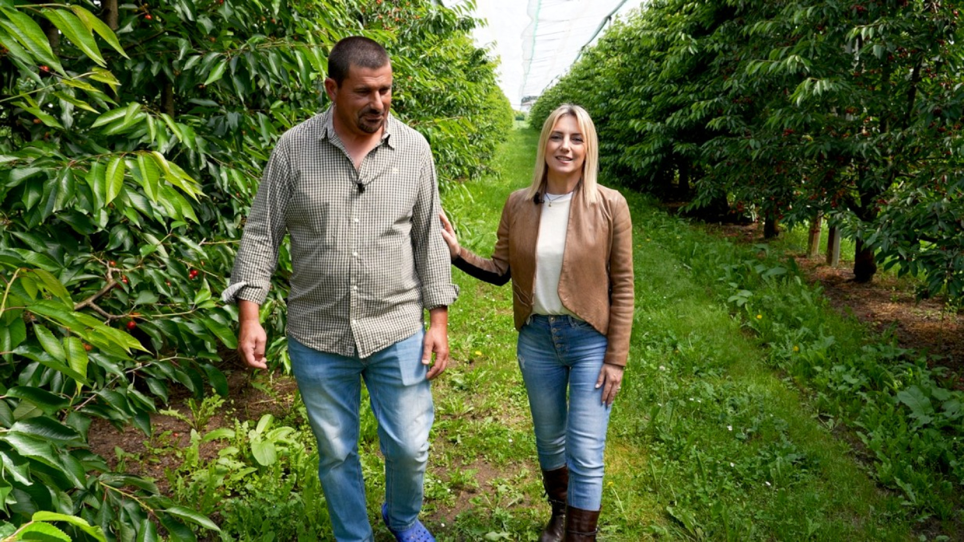 Stasera a Telelibertà “ColtiviAmo Piacenza”: eccellenze e agricoltura
